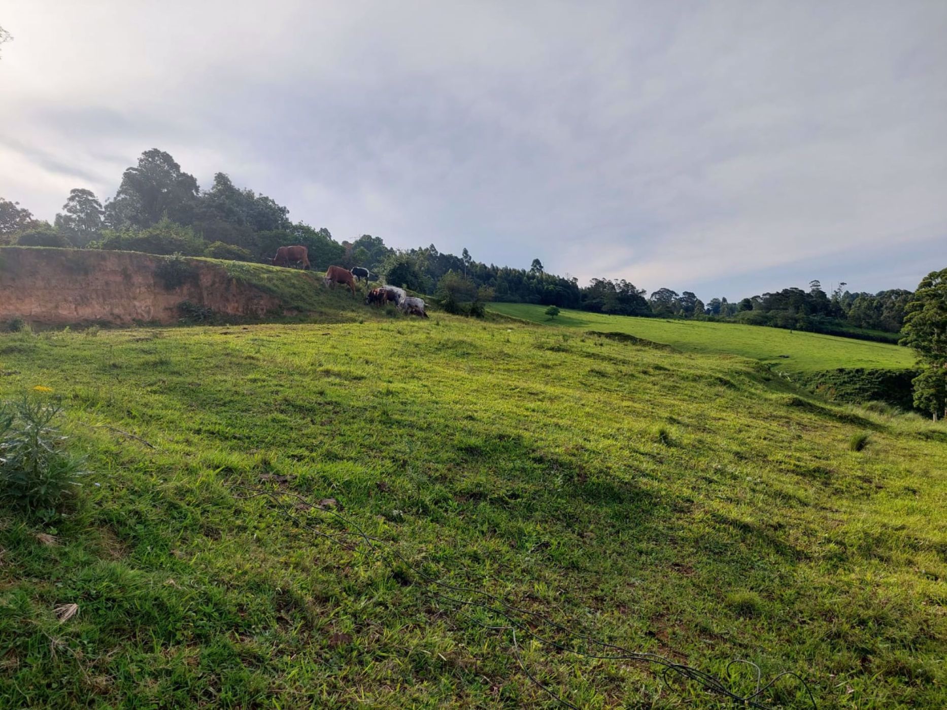 2.88 hectare residential vacant land for sale in Worlds View (Hilton)