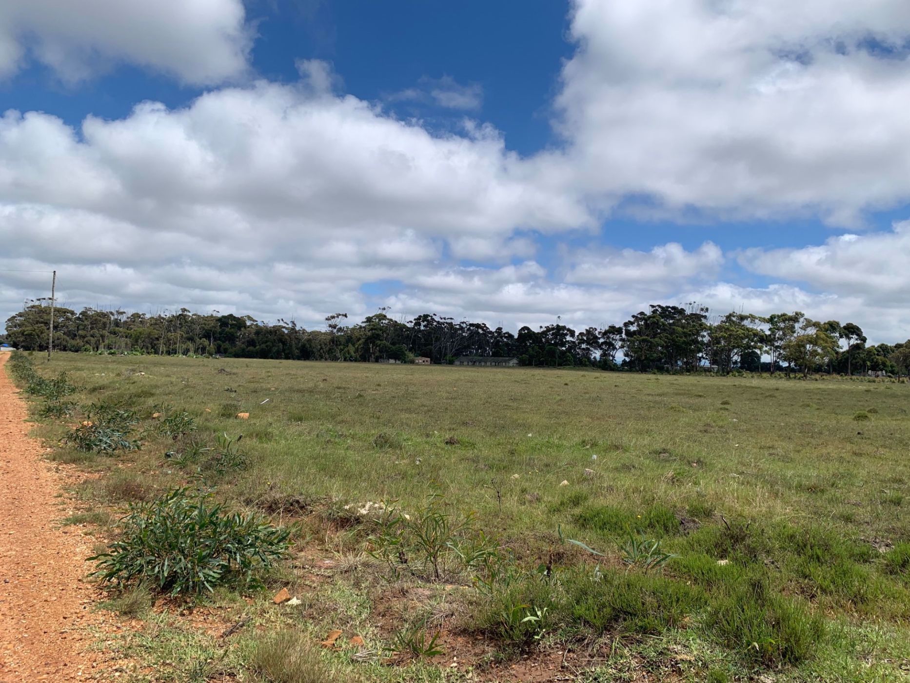 2.2 hectare Vacant Land For Sale Greenbushes 1PLZ1554622 Pam