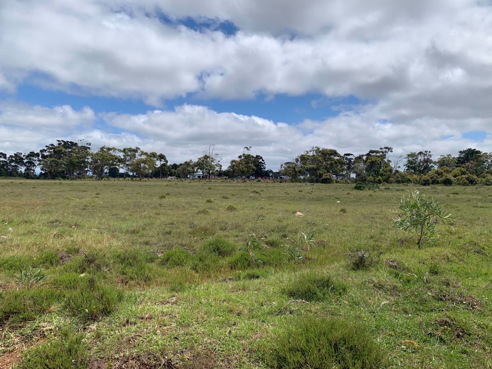 2.2 hectare vacant land for sale in Greenbushes