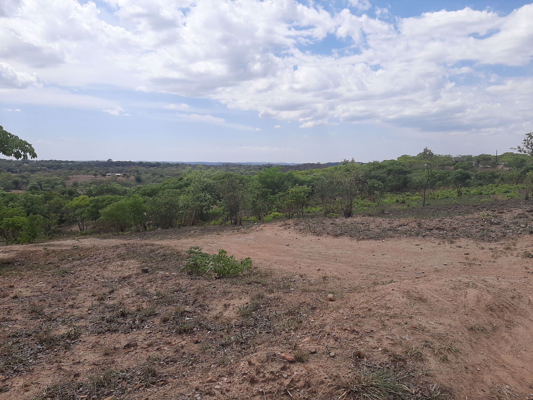 5 Acres Vacant Land For Sale | Chilanga (Zambia) | 3ZA1554805 | Pam ...