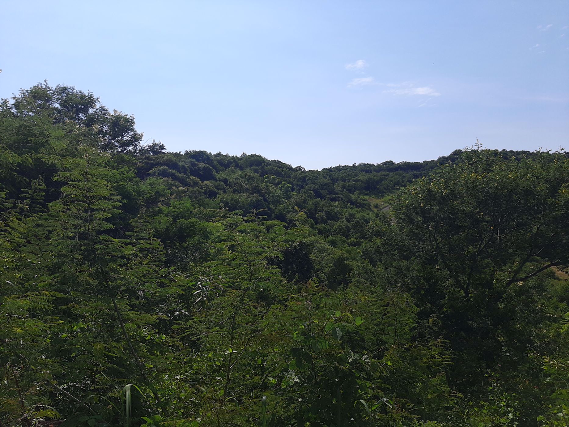 2329 m&sup2; vacant land for sale in Drum Rock