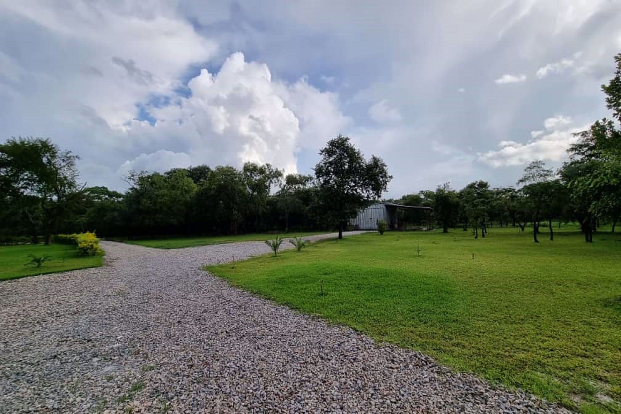 118 Acres Mixed Use Farm For Sale Kabwe (Zambia) 3ZA1556035 Pam