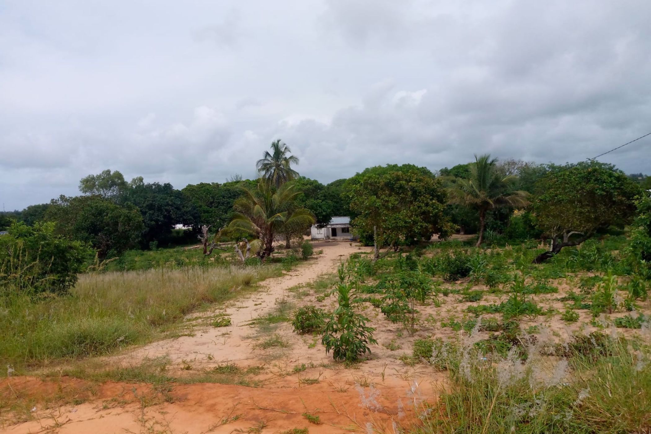 10000 m&sup2; vacant land for investment in Praia do Bilene (Gaza, Mozambique)