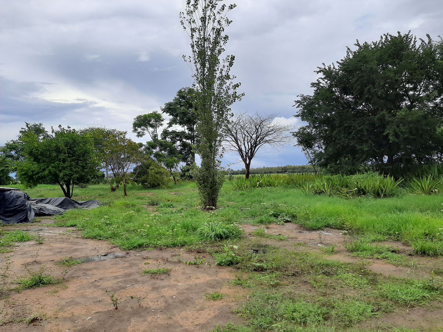 1.2 Acres Vacant Land For Sale Roan Park, Lusaka Province (Zambia