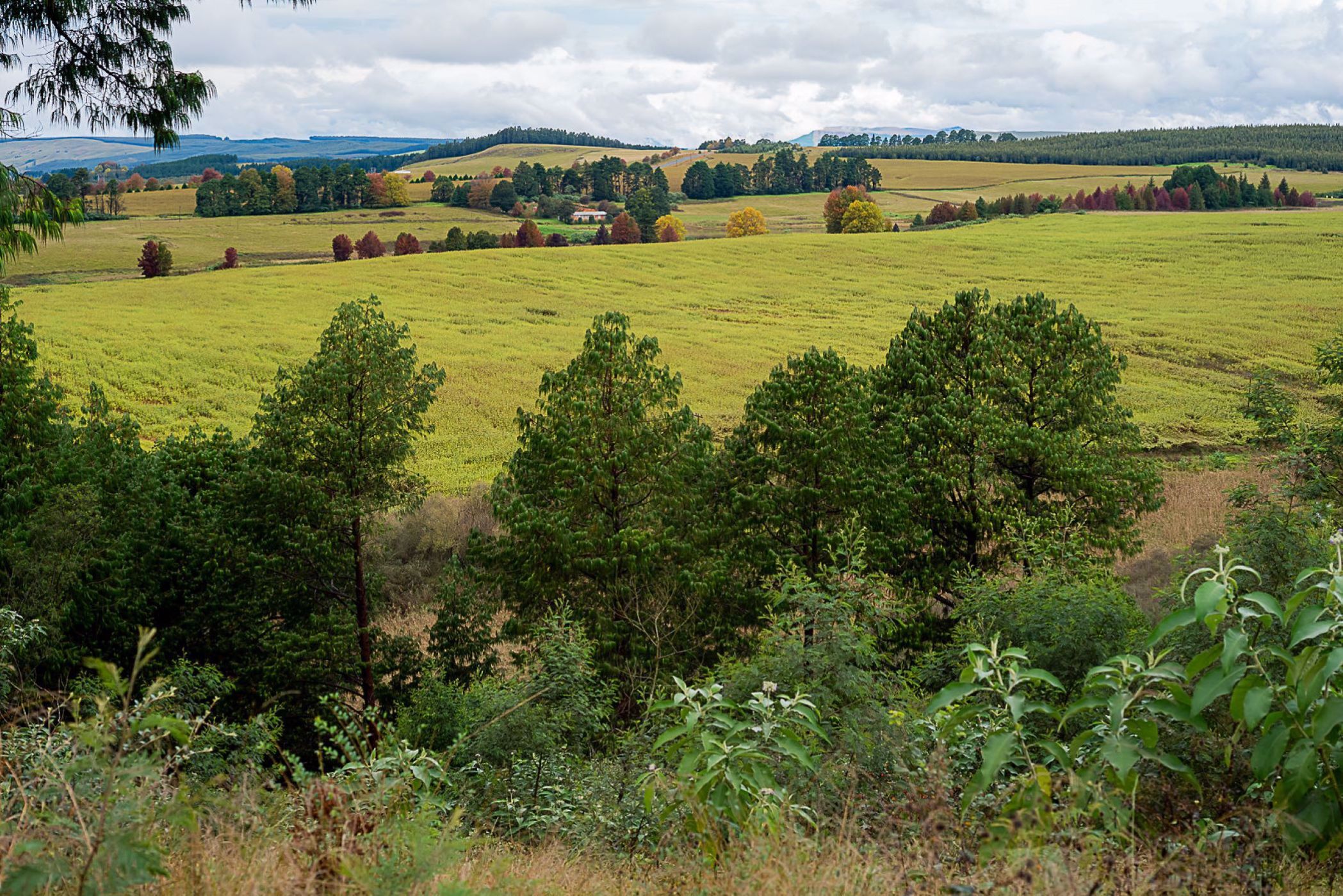 650 m&sup2; vacant land for sale in Nottingham Road