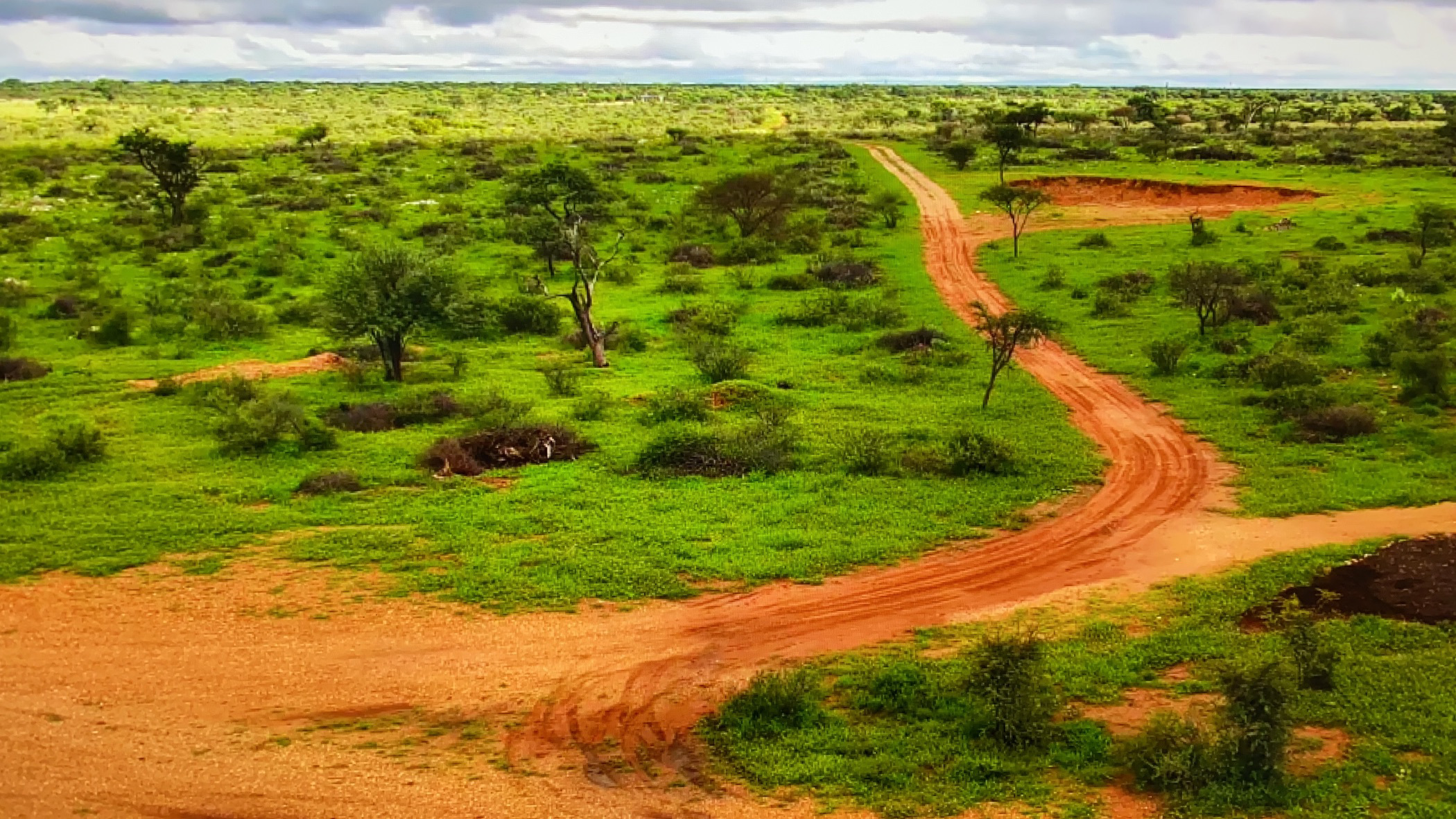 2700 hectare Game Farm For Sale Windhoek (Namibia) 3NM1557273 Pam