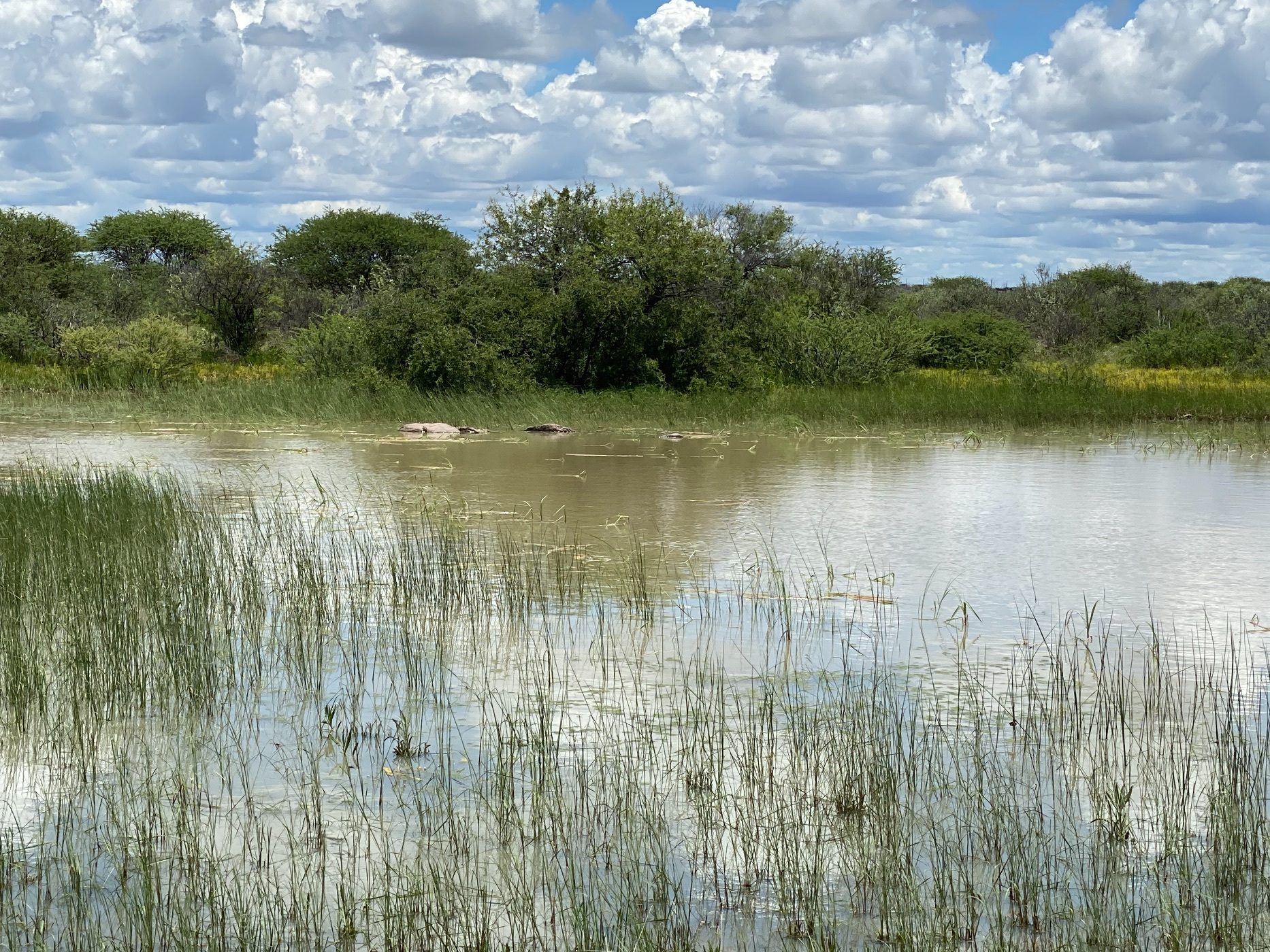 2700-hectare-game-farm-for-sale-windhoek-namibia-3nm1557273-pam