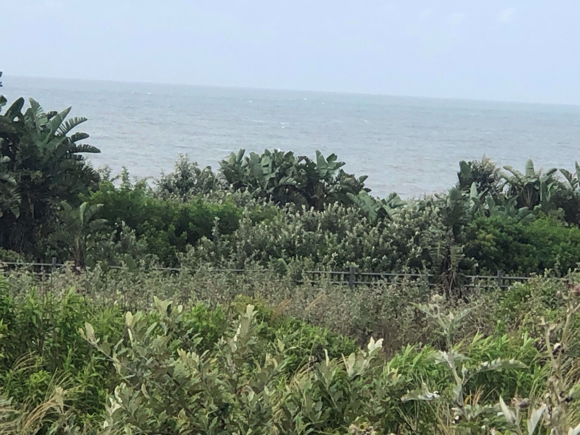1906 m&sup2; residential vacant land for sale in Leisure Bay