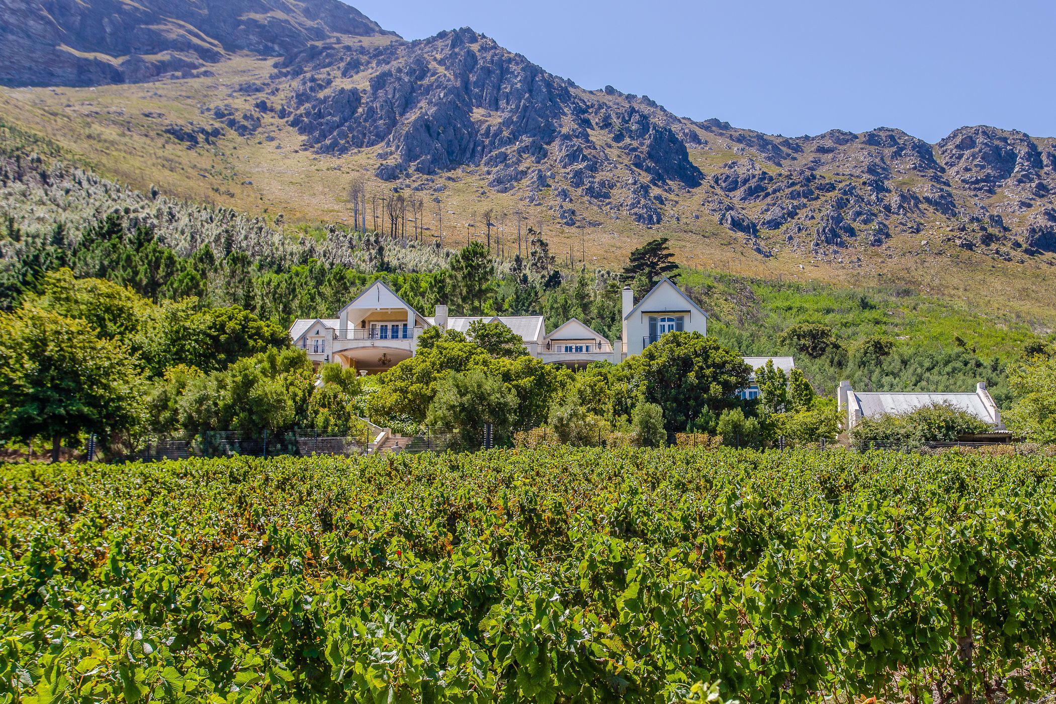 24.9 hectare wine farm for sale in Franschhoek Rural