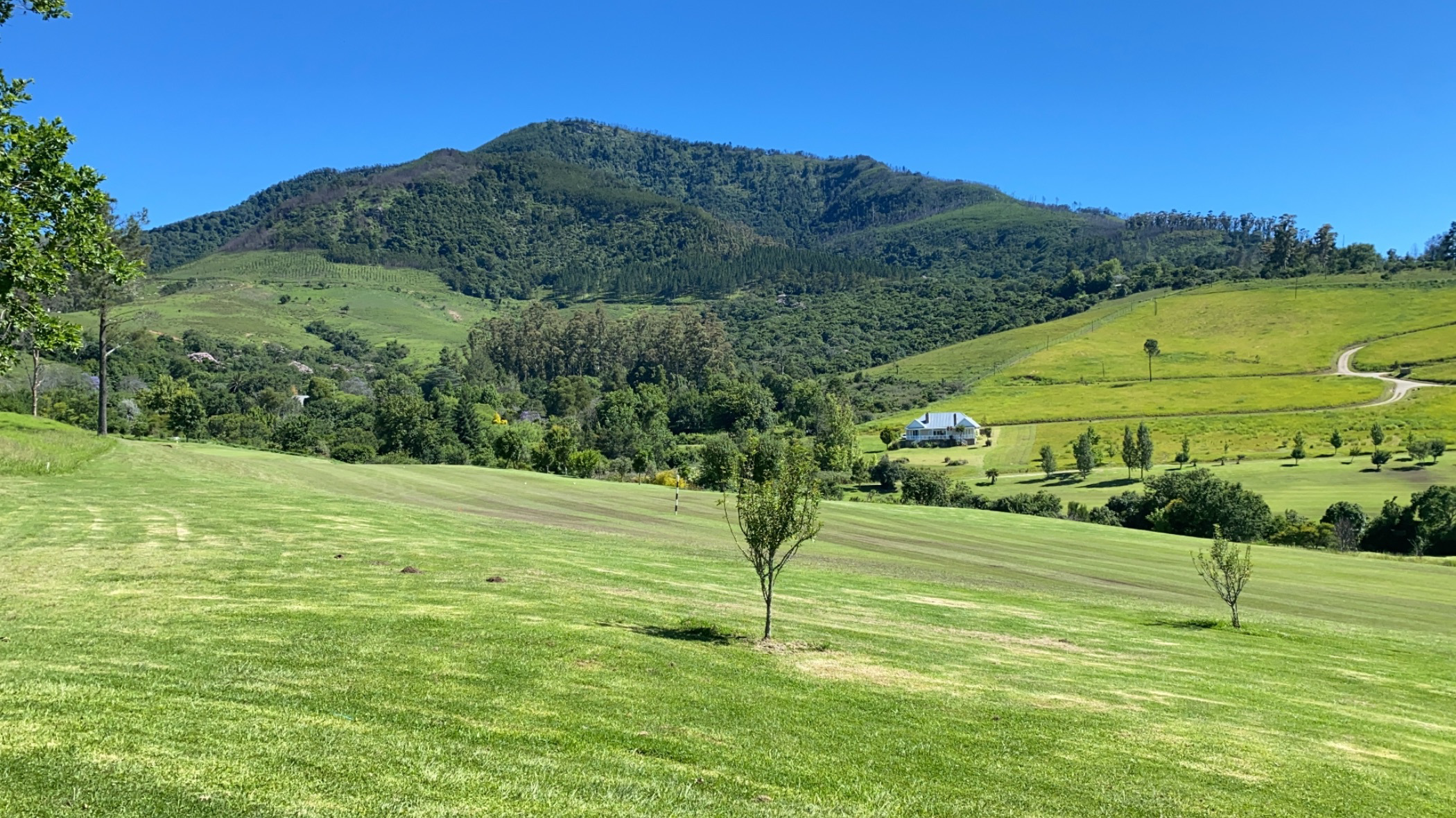 5 Bedroom House For Sale Fort Beaufort 1PLZ1559225 Pam Golding