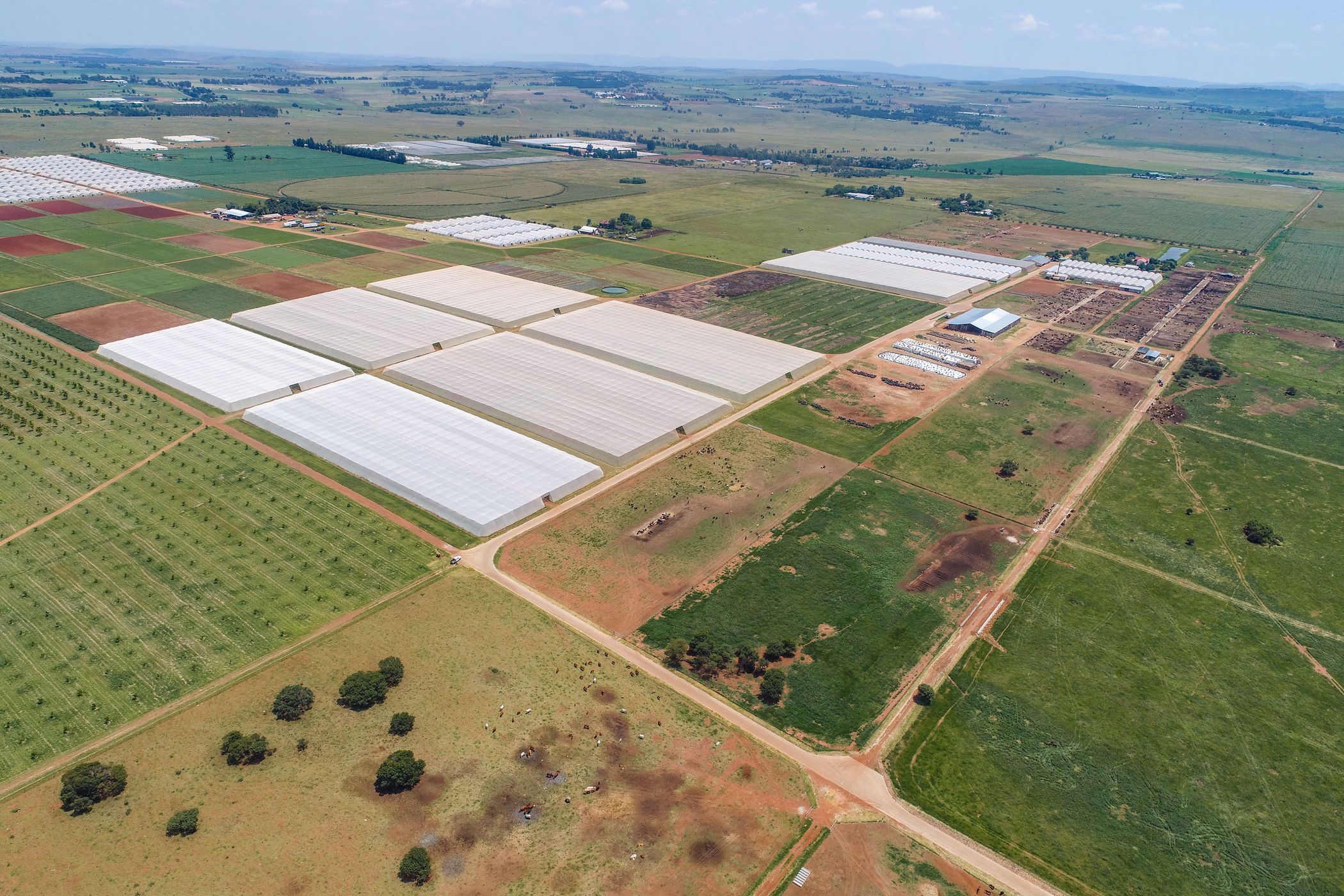 230 hectare mixed use farm for sale in Sterkfontein (Krugersdorp Rural)