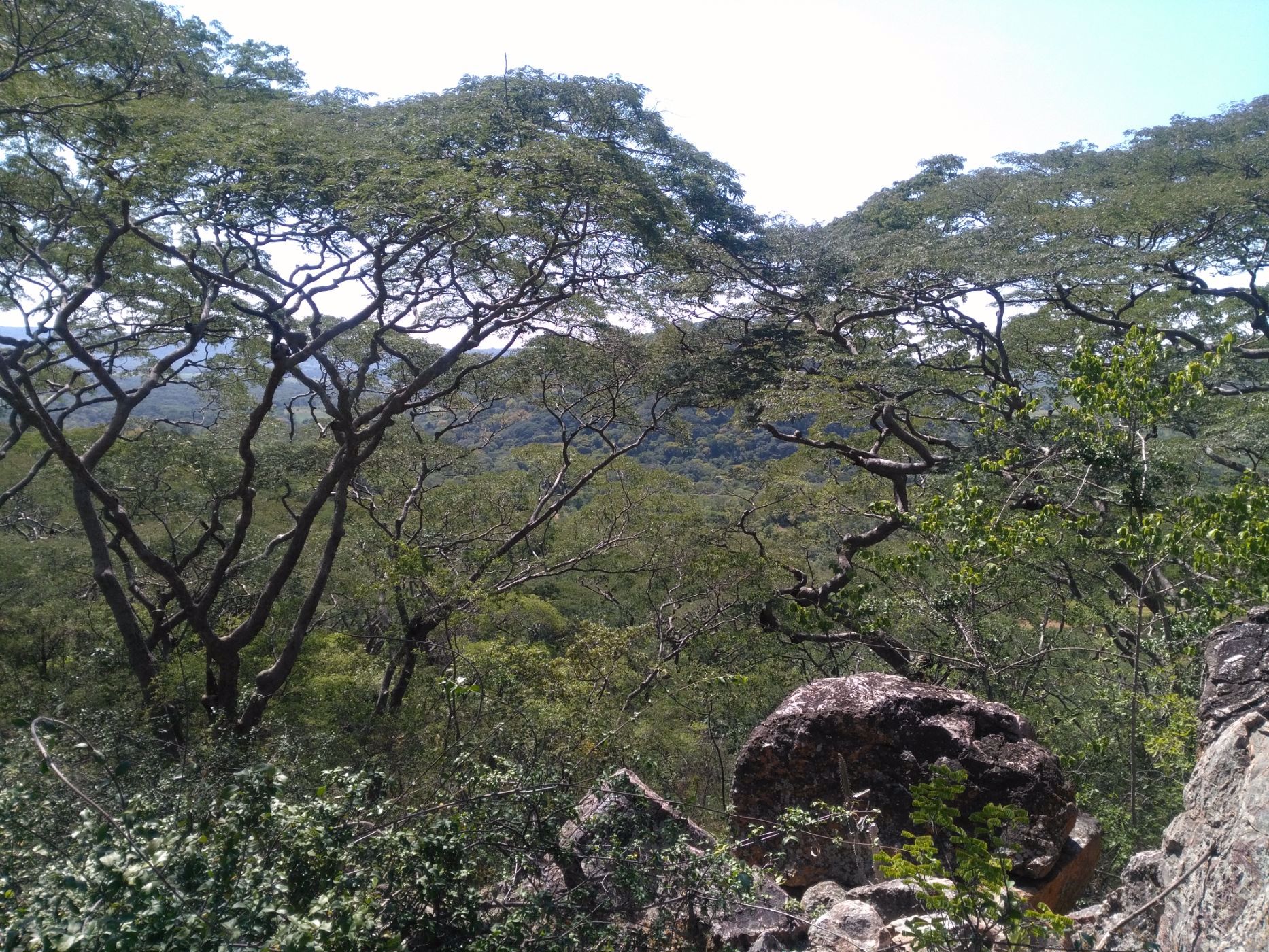 7 hectare Vacant Land For Sale Chirundu (Zambia) 3ZA1561168 Pam