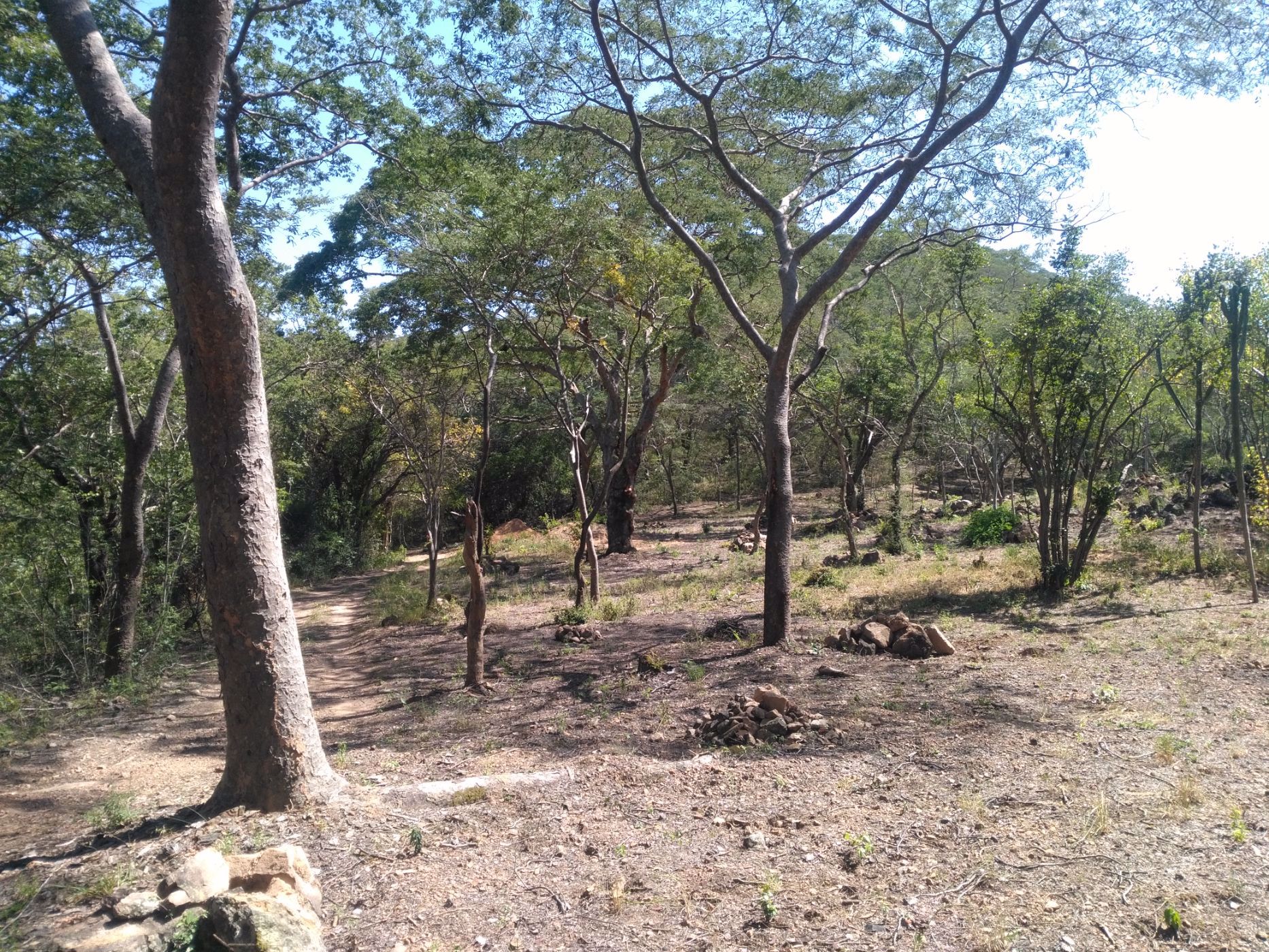 7 hectare Vacant Land For Sale Chirundu (Zambia) 3ZA1561168 Pam
