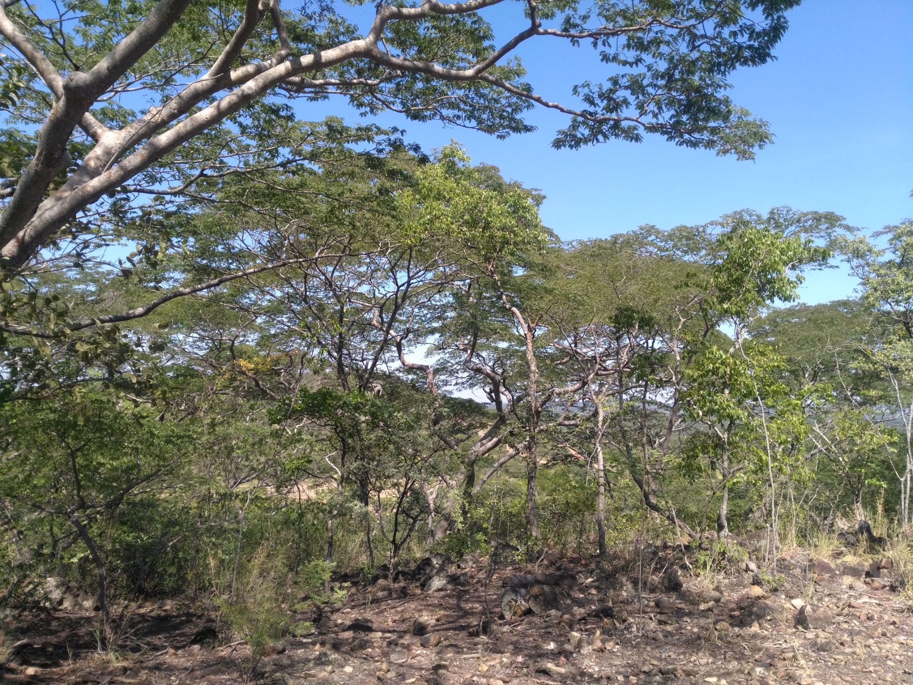 7 hectare Vacant Land For Sale Chirundu (Zambia) 3ZA1561168 Pam