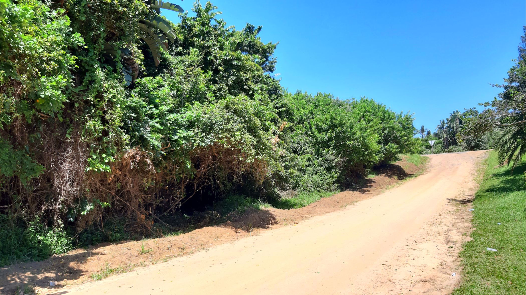 1248 m2 Vacant Land For Sale Catalina 1PX1562207 Pam Golding