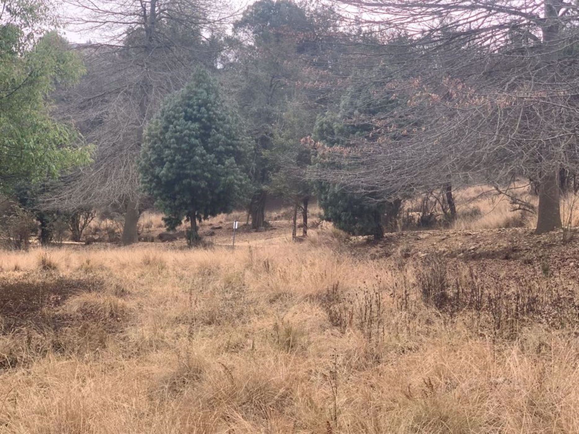 3116 m&sup2; residential vacant land for sale in Nottingham Road