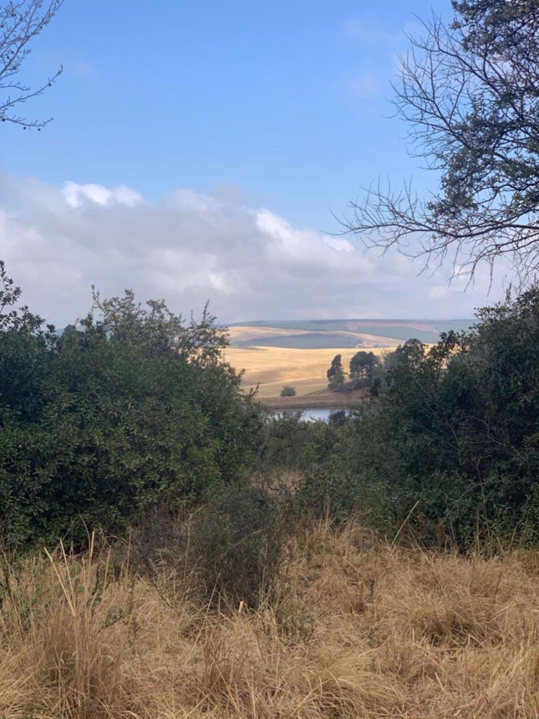 3116 m2 Residential Vacant Land For Sale Nottingham Road 1PM1560809