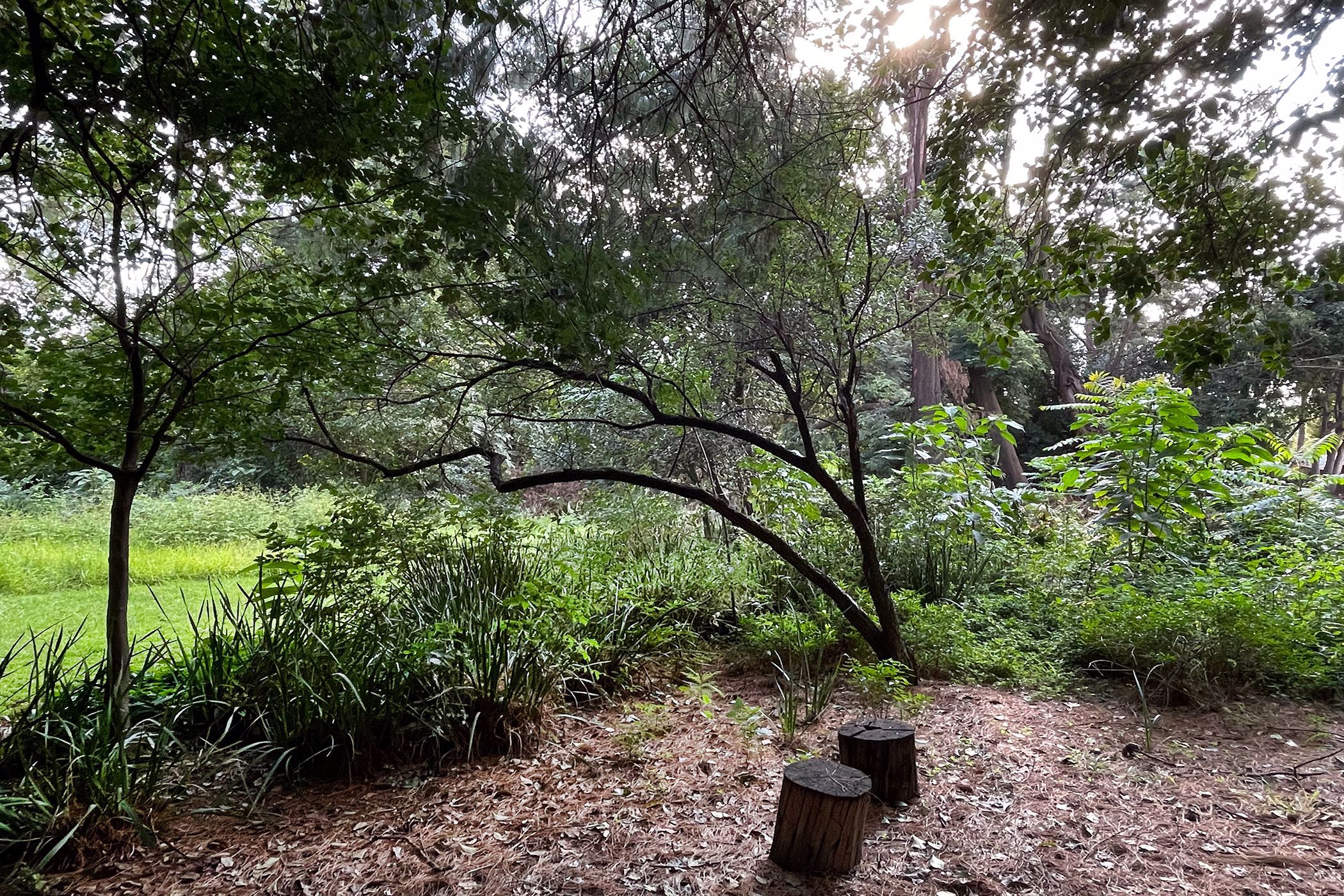 6716 m2 Residential Vacant Land For Sale Hyde Park (Sandton