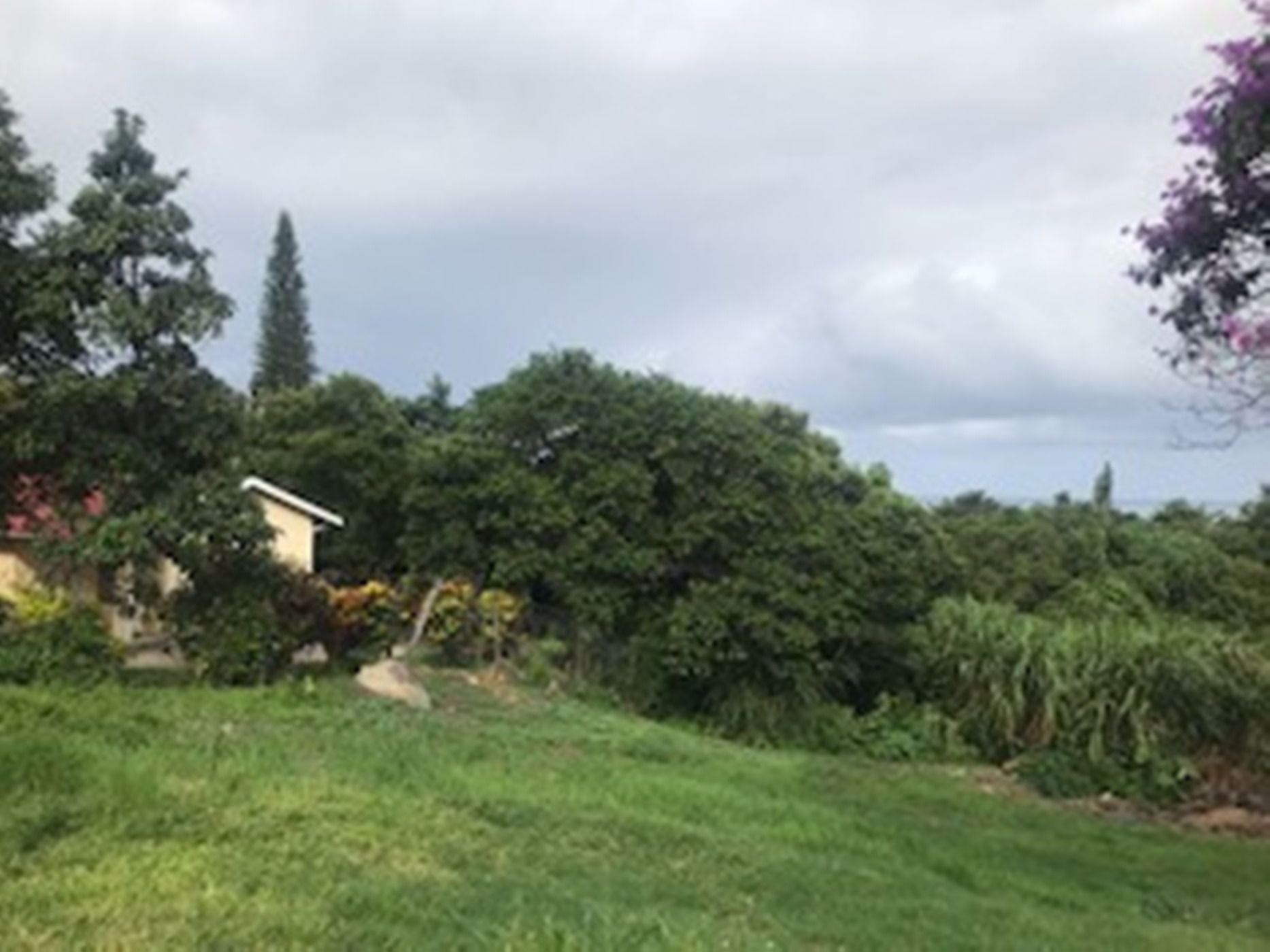 1391 m2 Residential Vacant Land For Sale Palm Beach 1PD1563236
