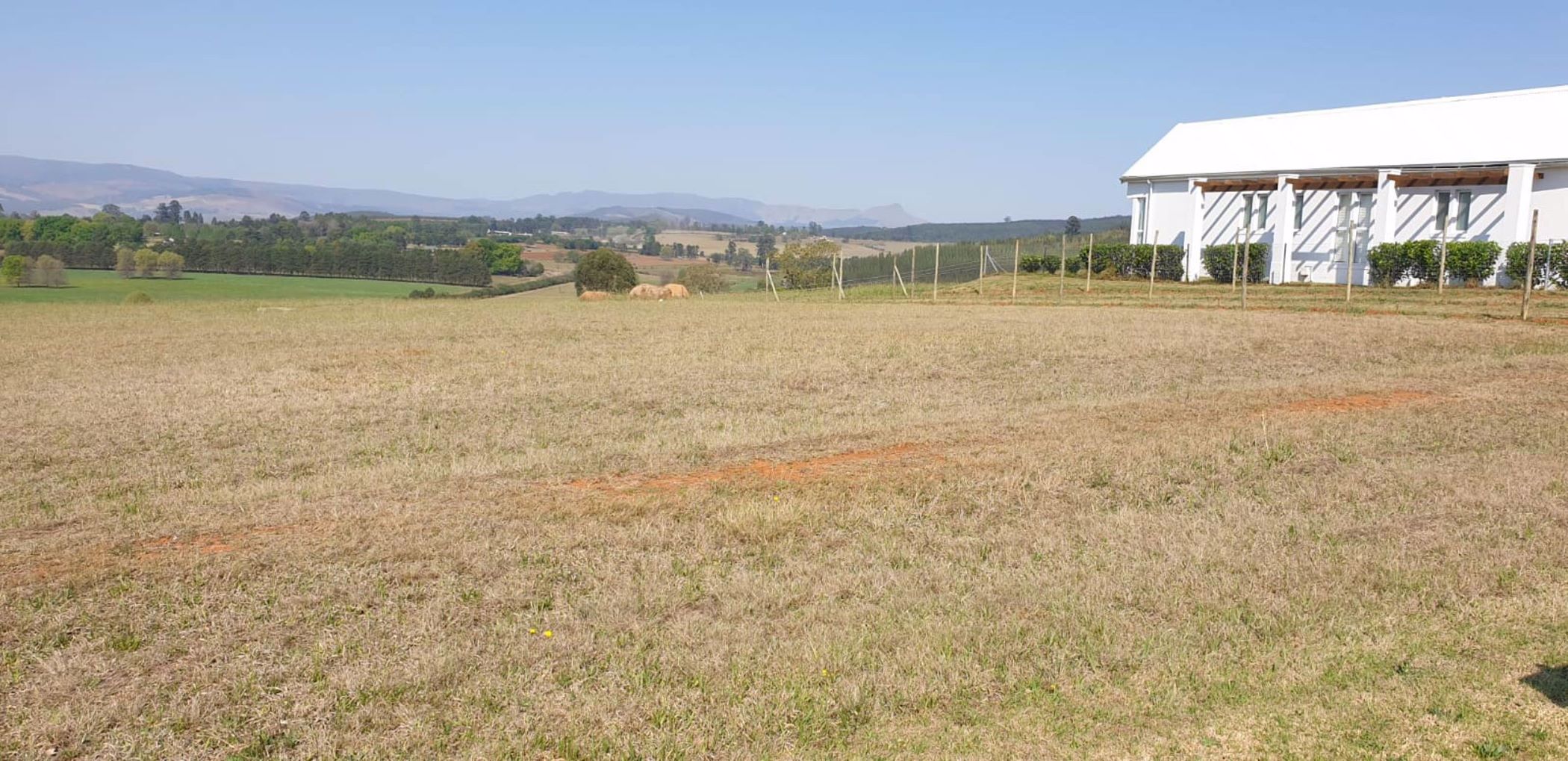 1000 m2 Vacant Land For Sale Lions River 1PM1562563 Pam Golding