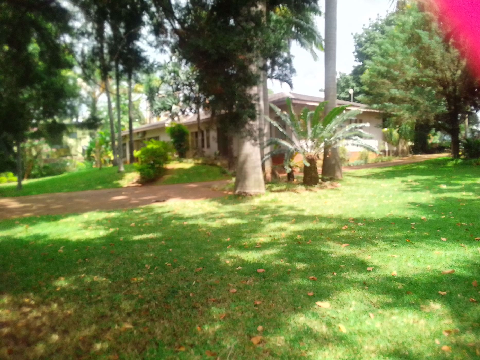 3370 m&sup2; commercial office for sale in Arbor Park (Tzaneen)