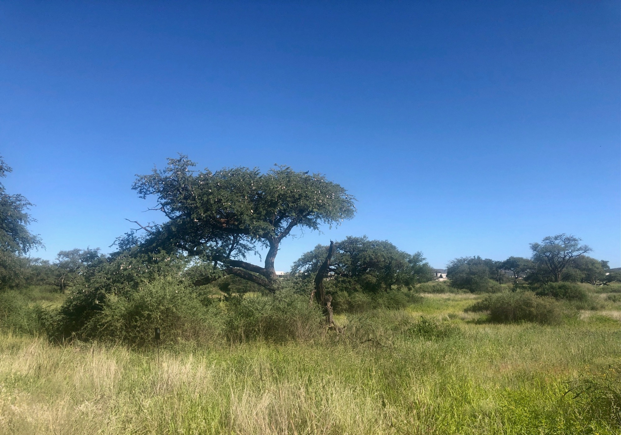 1841 m&sup2; residential vacant land for sale in Windhoek (Namibia)