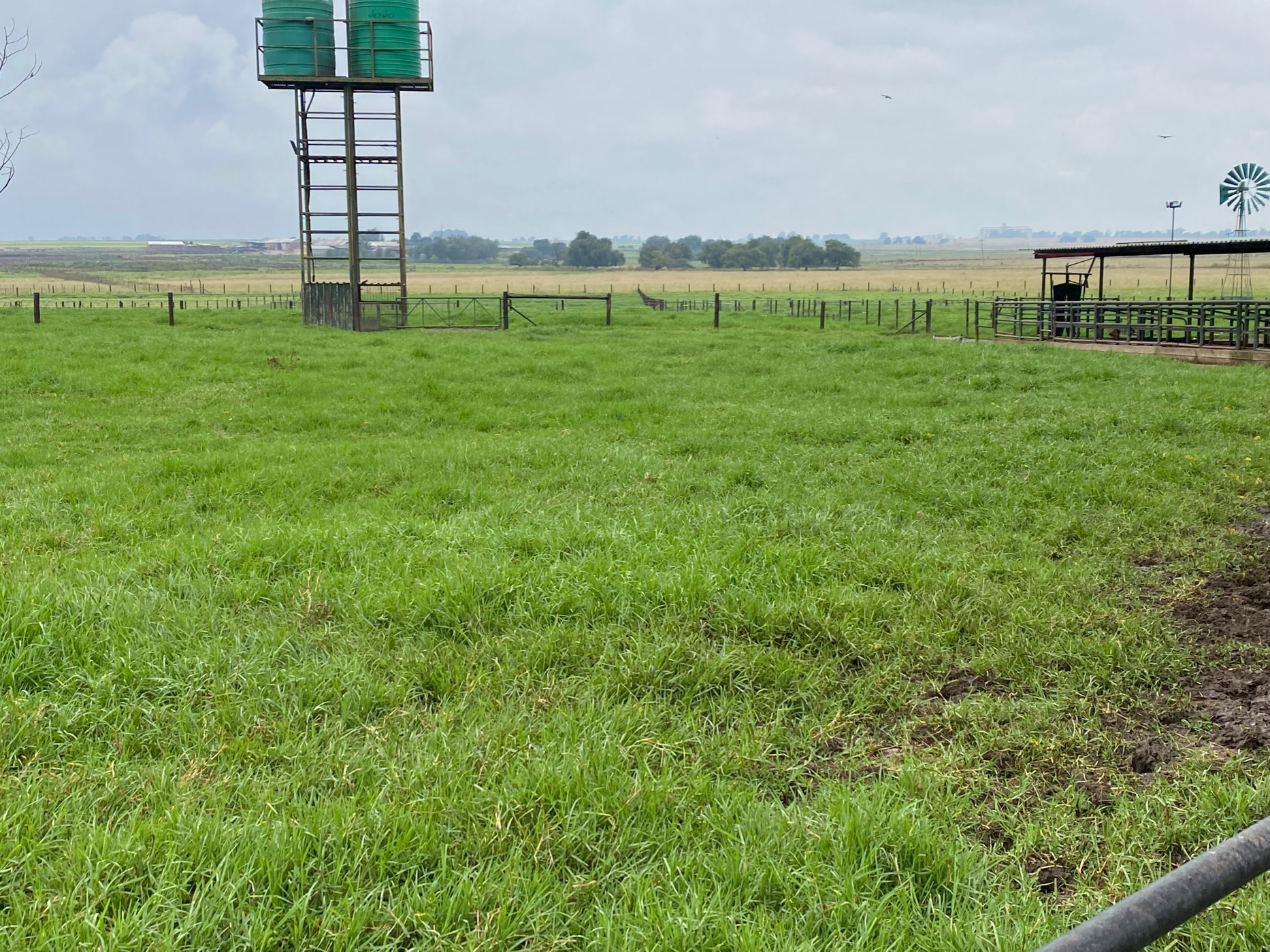 10.13 hectare Dairy Farm For Sale Delmas PRN1564323 Pam Golding