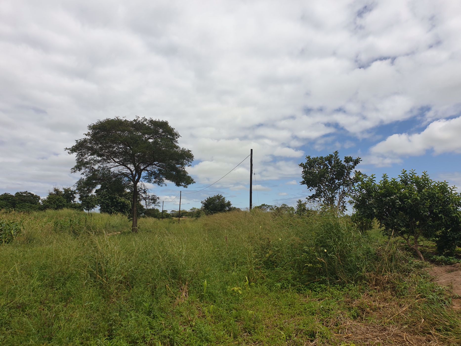 24 Acres Farm Vacant Land For Sale Chikumbi (Zambia) 3ZA1565224