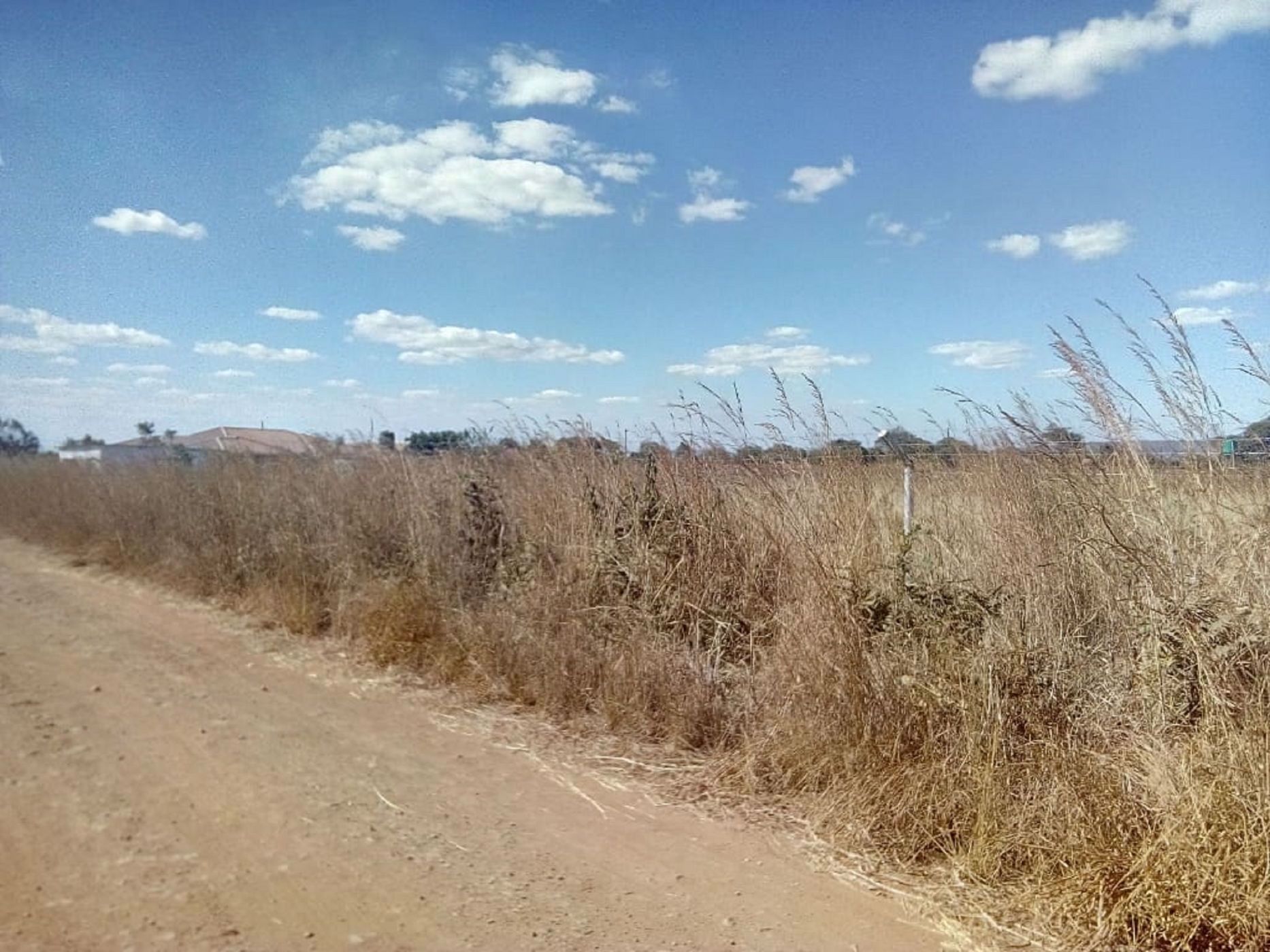 16000 m2 Crop Farm For Sale Norton (Zimbabwe) 3ZB1565210 Pam
