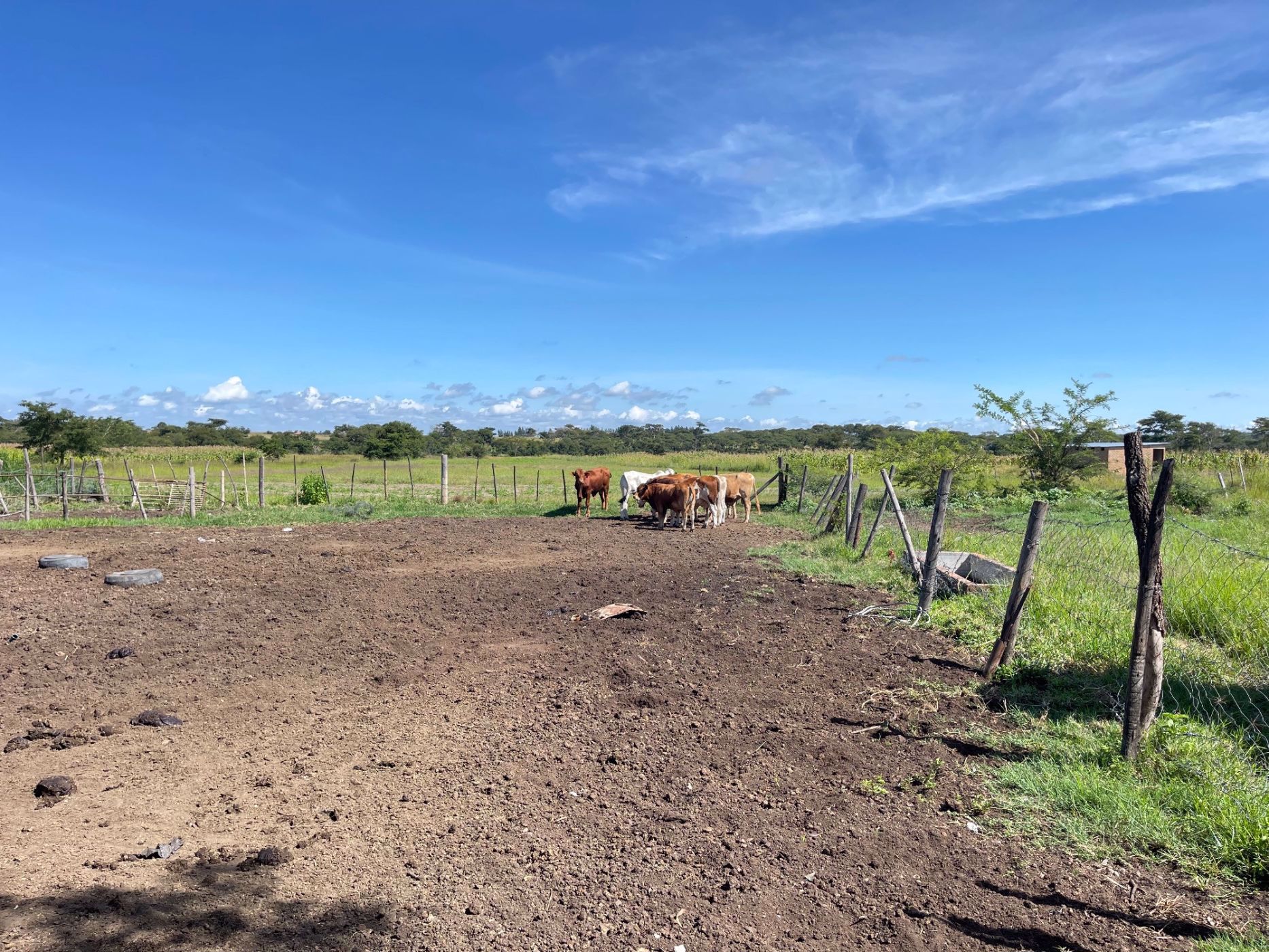110000 m2 Mixed Use Farm For Sale Norton (Zimbabwe) 3ZB1565356