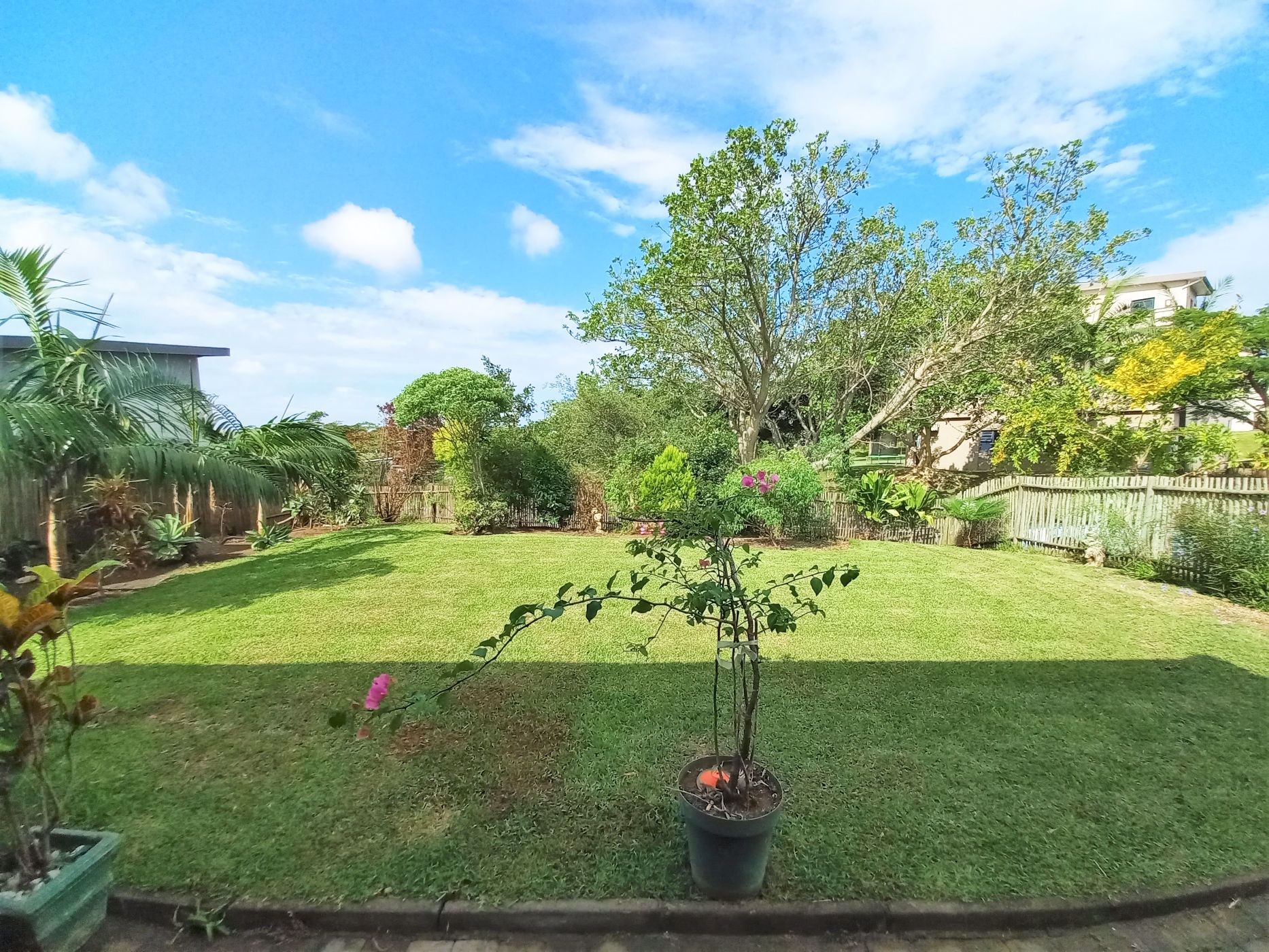 3 Bedroom House For Sale Palm Lakes Estates 1BD1565626 Pam Golding Properties