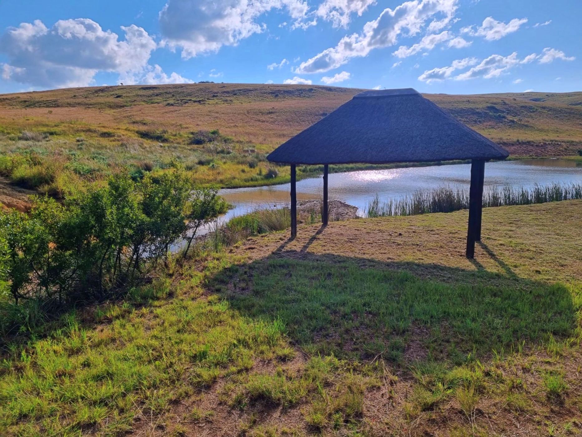 59.6 hectare Lifestyle Property For Sale Machadodorp (Mpumalanga