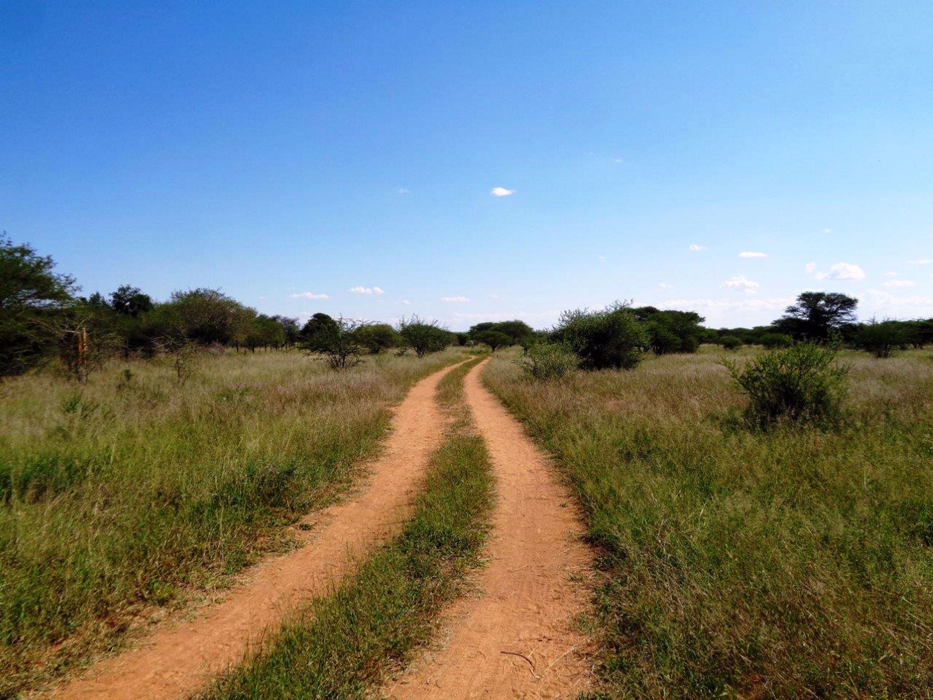 19 hectare Vacant Land For Sale Oodi (Botswana) 3BO1568372 Pam