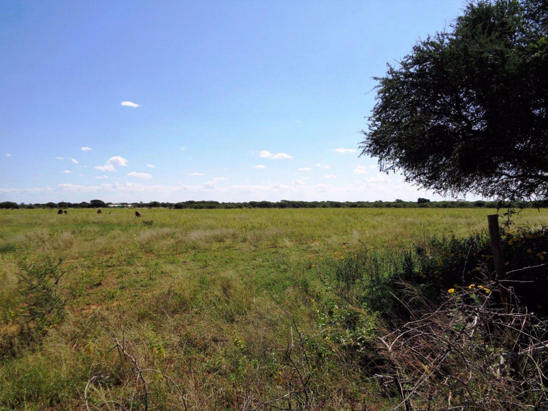 19 hectare Vacant Land For Sale Oodi (Botswana) 3BO1568372 Pam