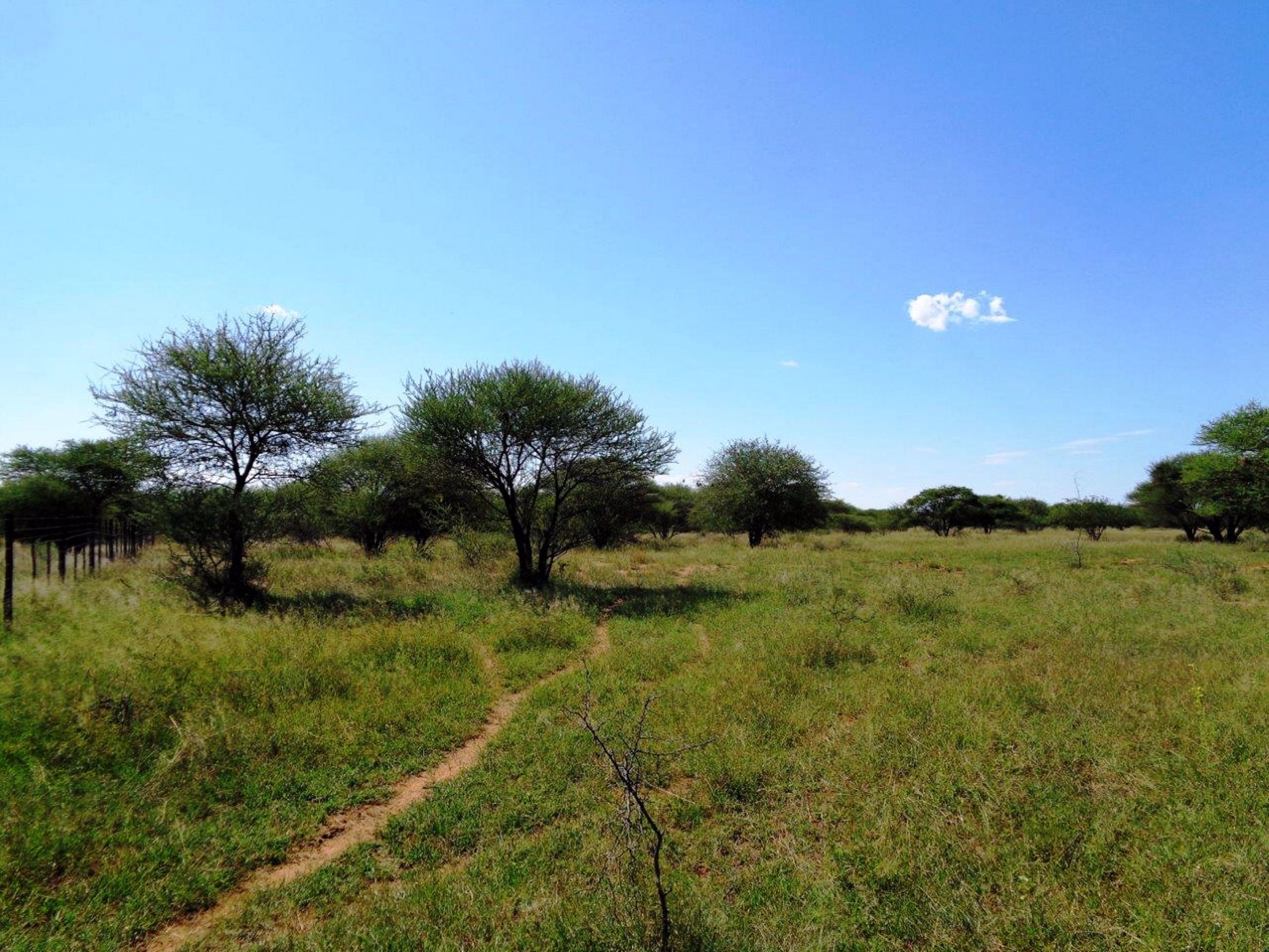 19 hectare Vacant Land For Sale Oodi (Botswana) 3BO1568372 Pam