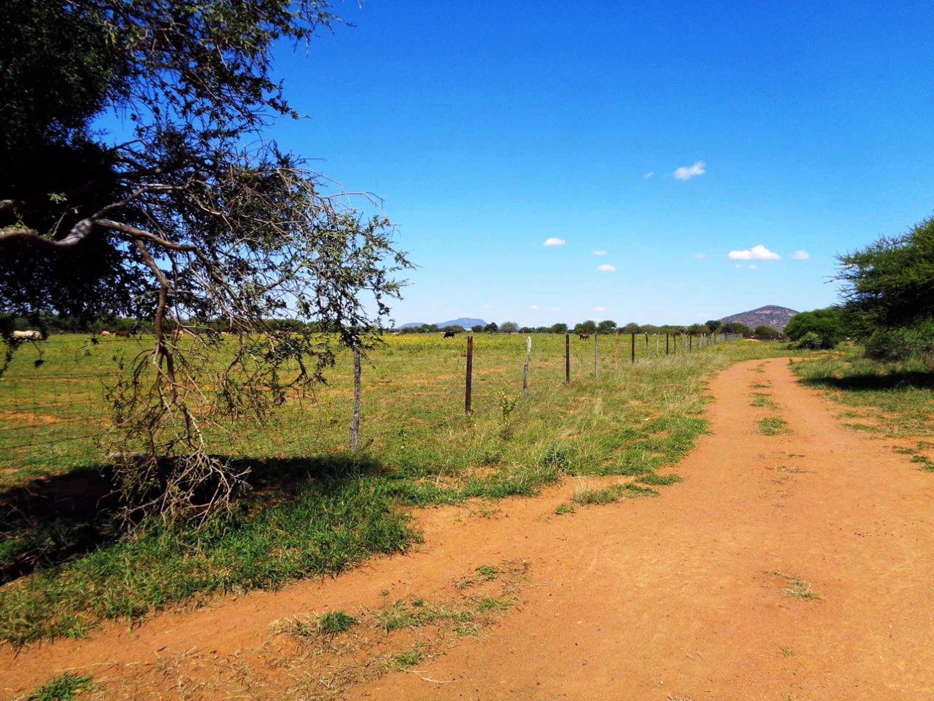 19 hectare Vacant Land For Sale Oodi (Botswana) 3BO1568372 Pam
