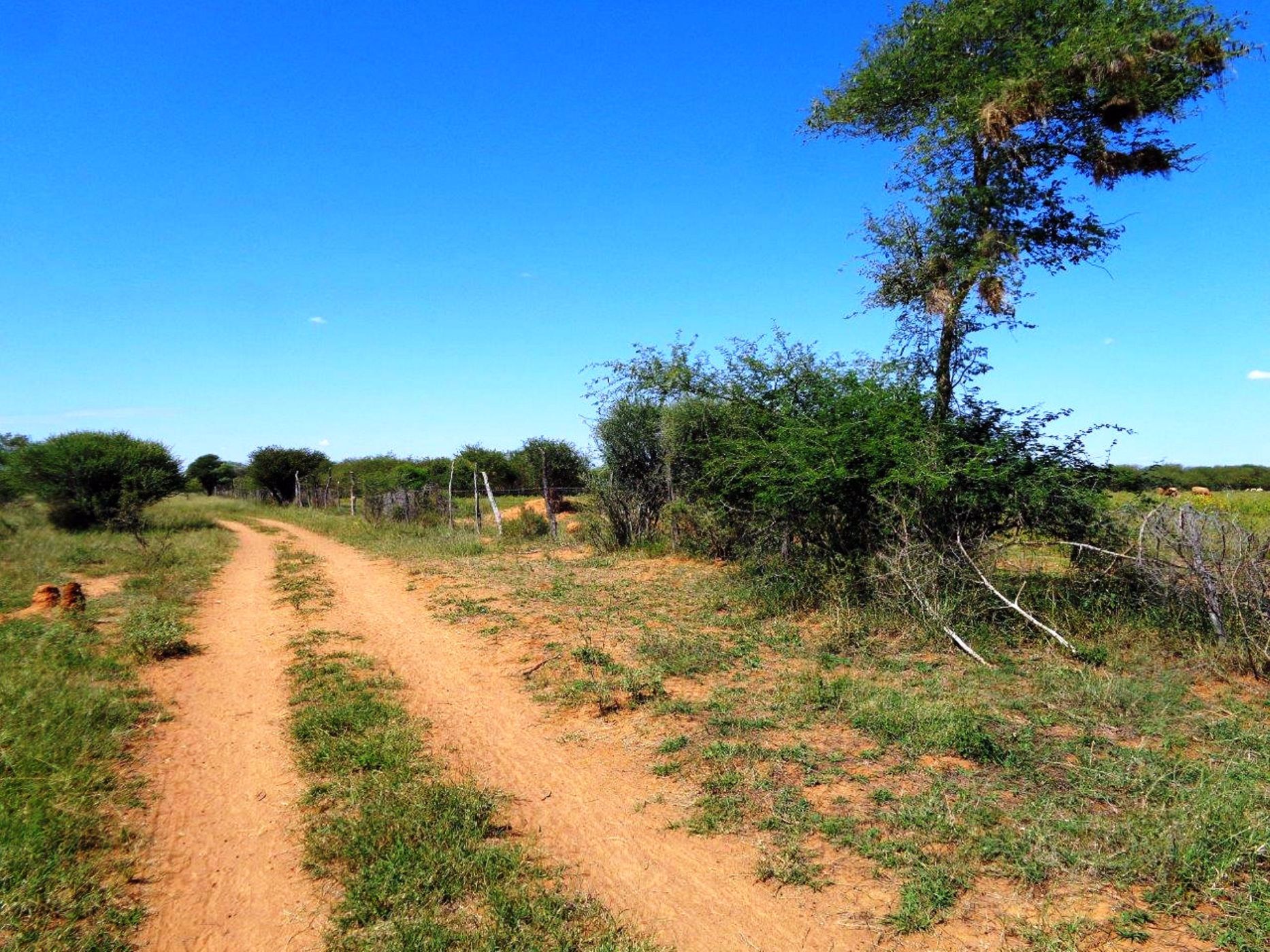 19 hectare Vacant Land For Sale Oodi (Botswana) 3BO1568372 Pam