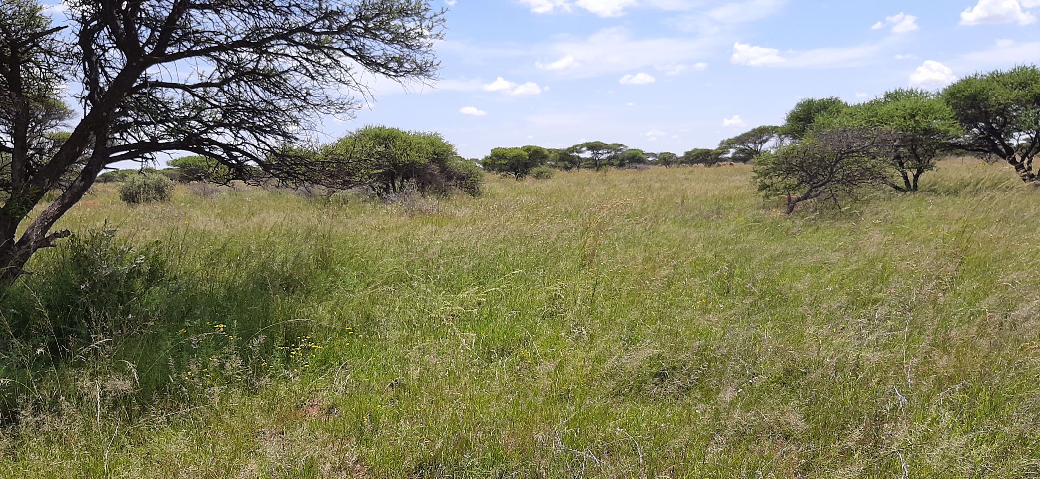 753 hectare Mixed Use Farm For Sale | Christiana (North West Province ...