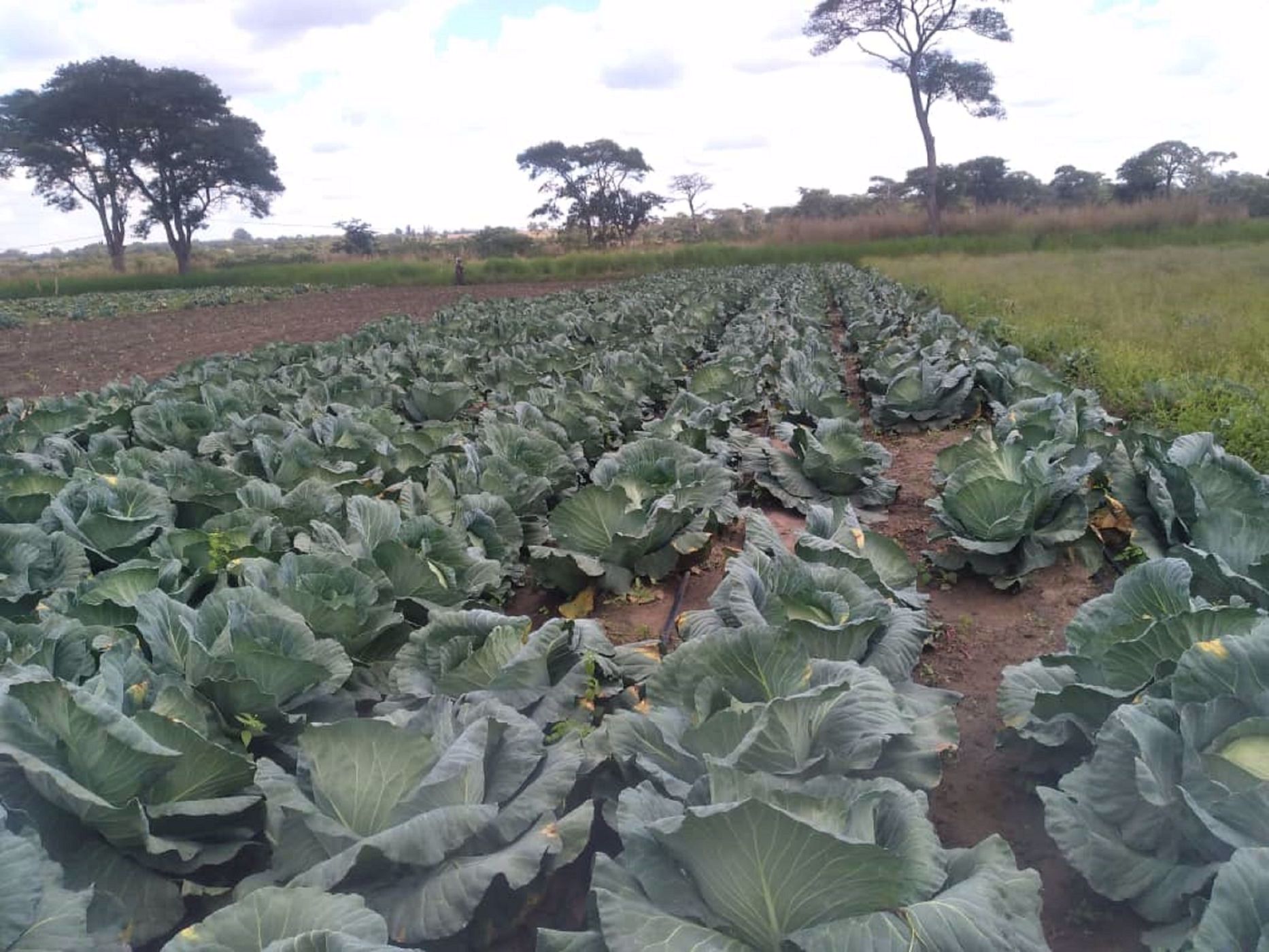 22.7 hectare farm vacant land for sale in Lake Chivero (Zimbabwe)