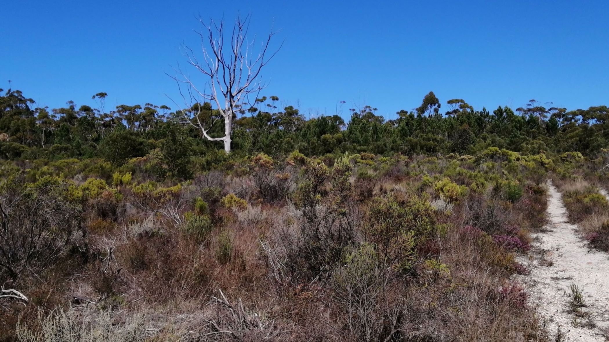 100000 m2 Vacant Land For Sale Napier (Overberg) 1SW1570345 Pam