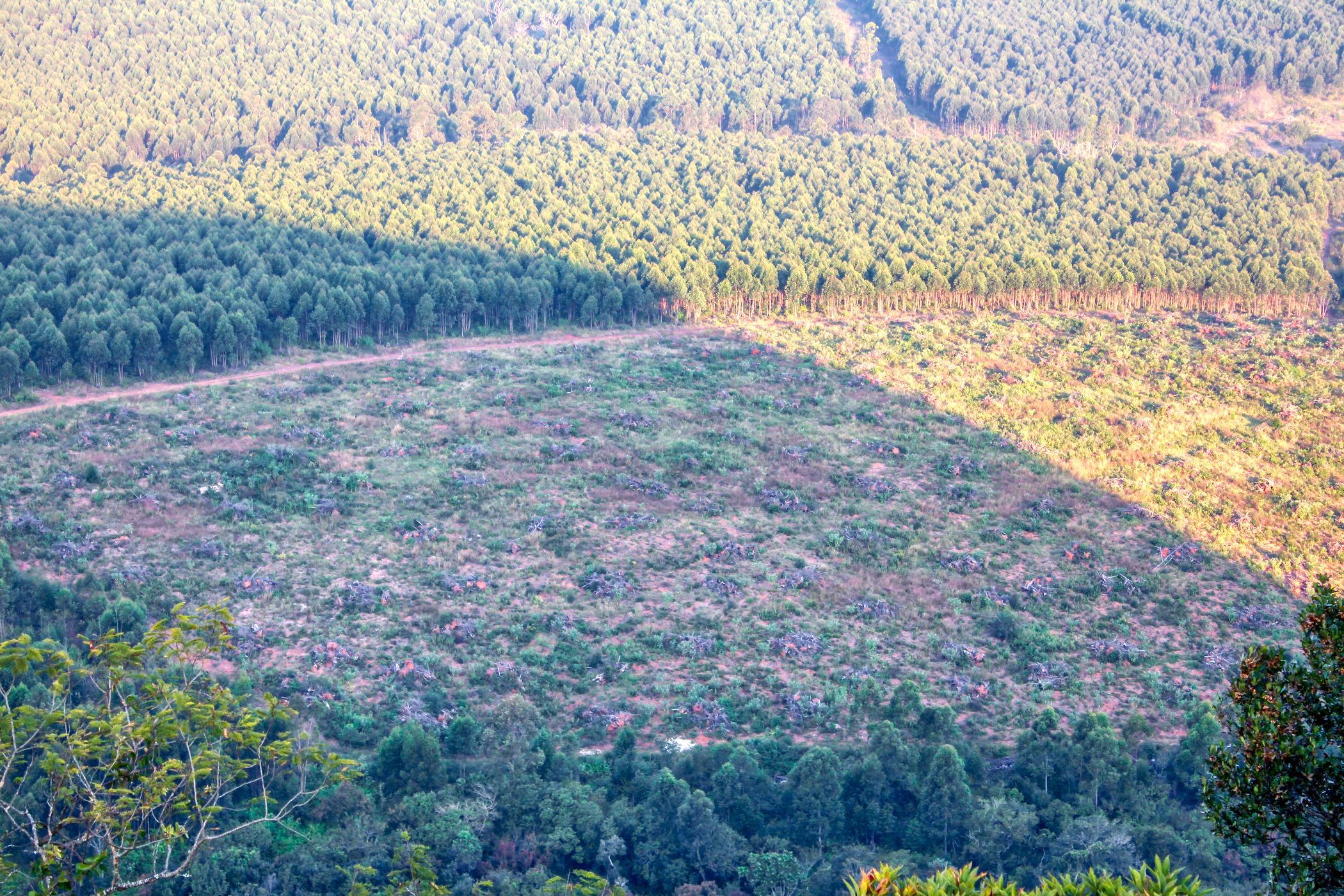 640000 m2 Farm Vacant Land For Sale White River AH 1WR1570417 Pam