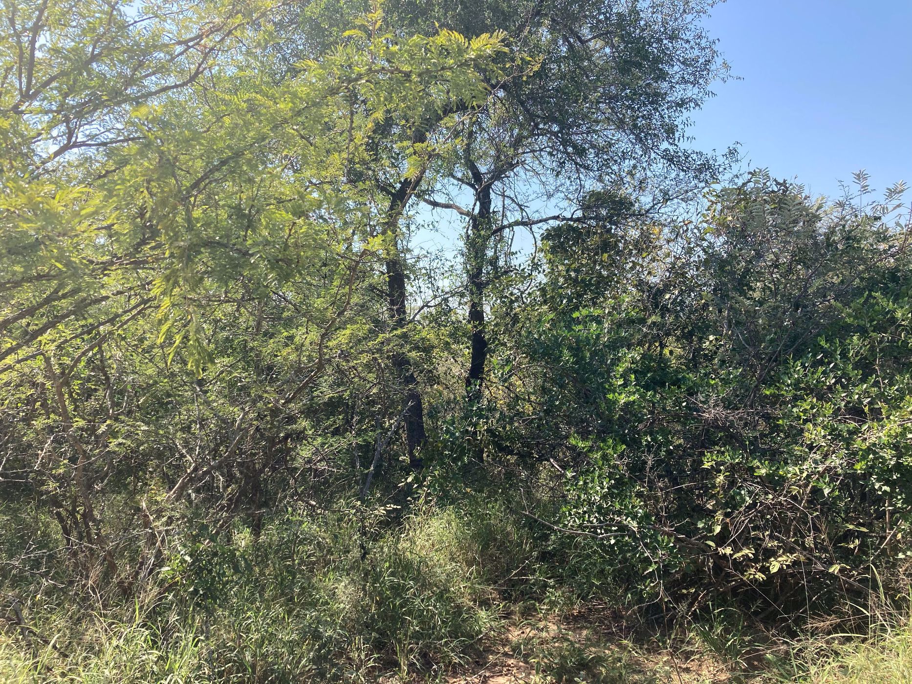 9935 m&sup2; vacant land for sale in Moditlo Nature Reserve