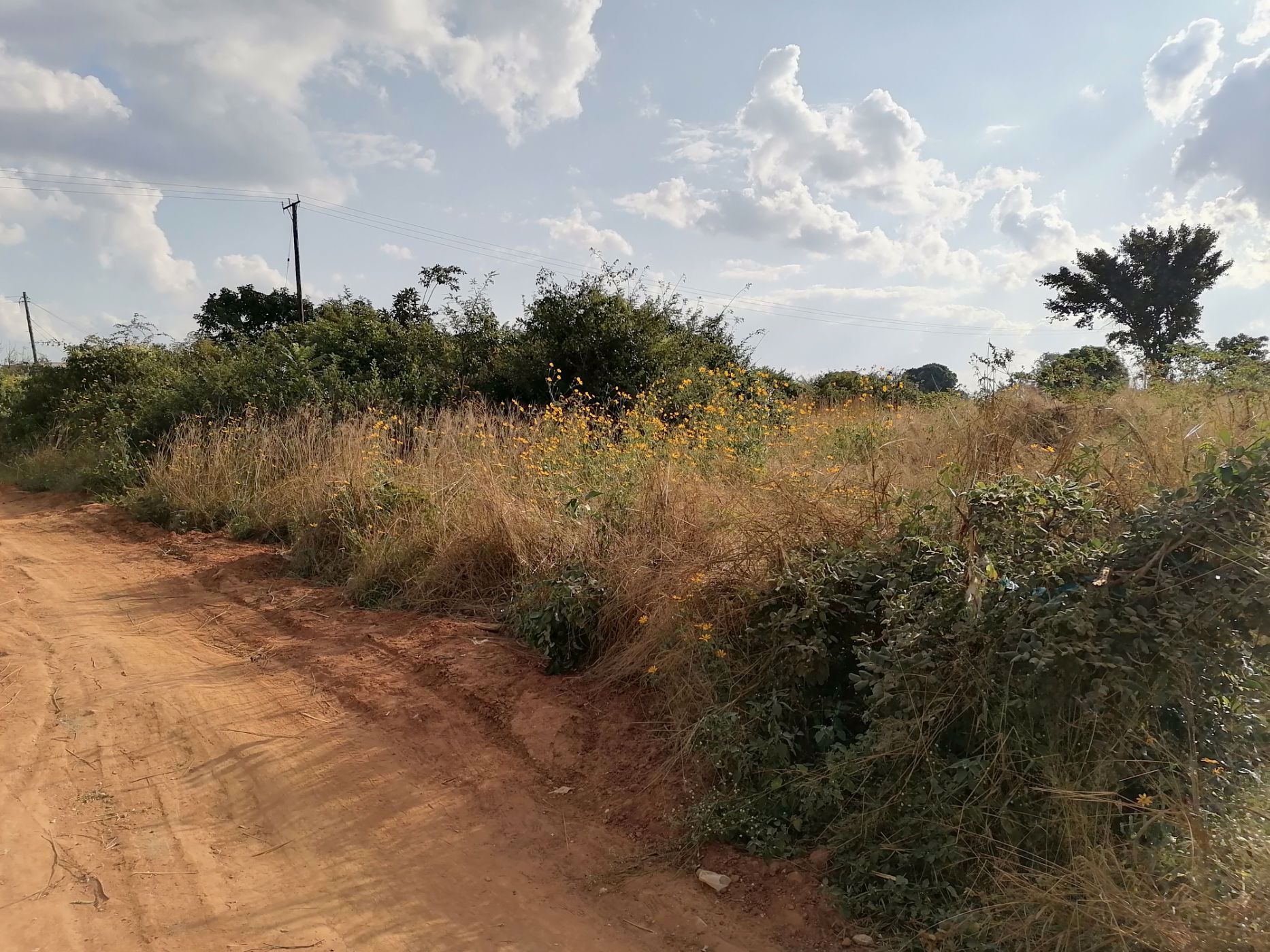 796 m2 Vacant Land For Sale Silverest (Zambia) 3ZA1570982 Pam