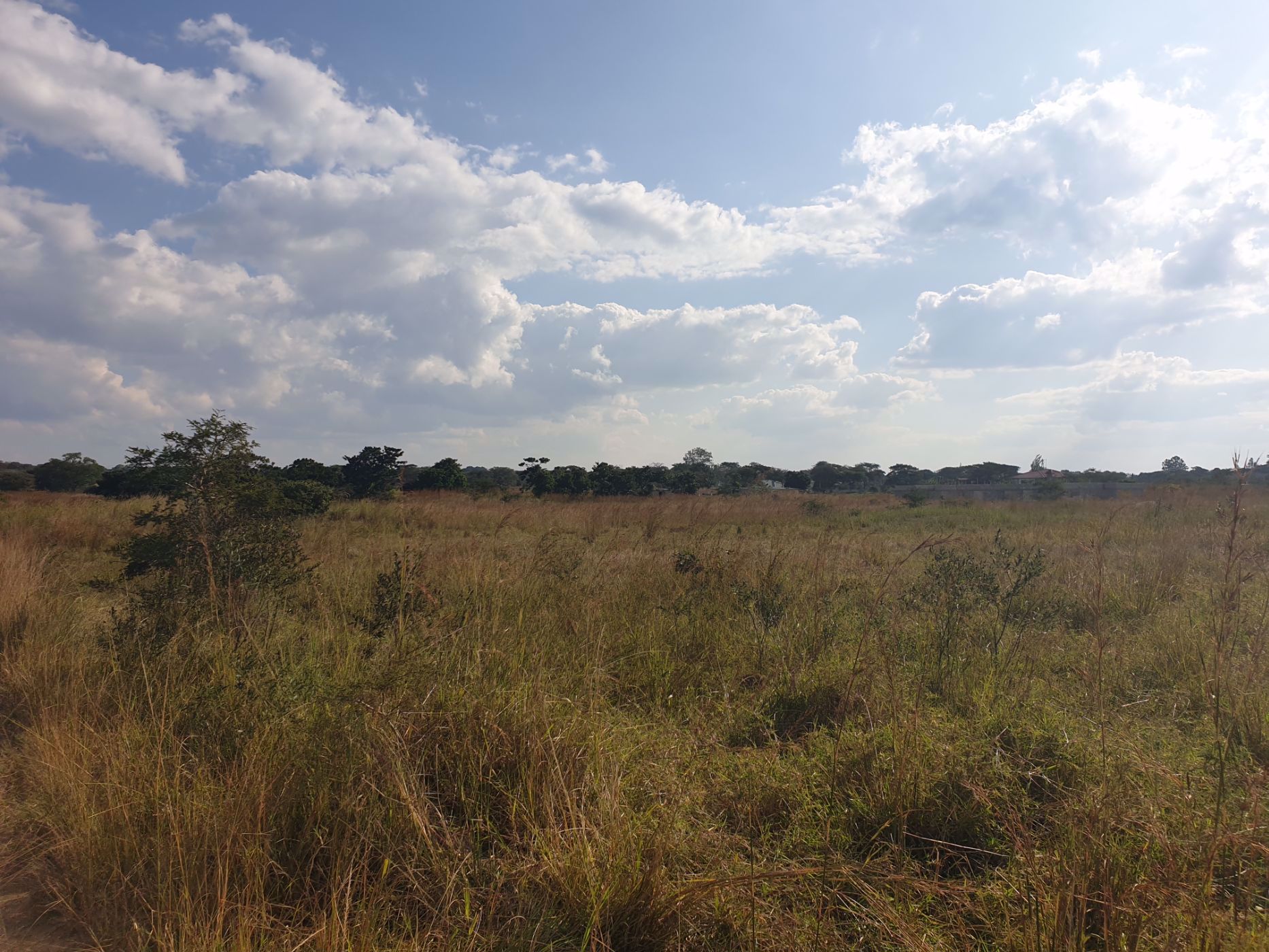 5112 hectare farm vacant land for sale in Northern Province (Zambia)