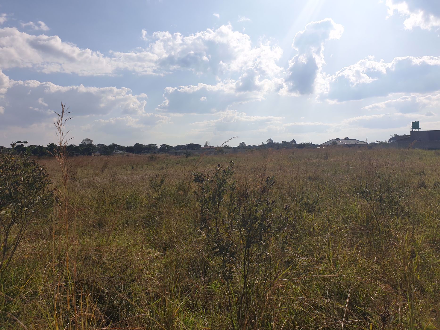 5112 hectare Farm Vacant Land For Sale Northern Province (Zambia