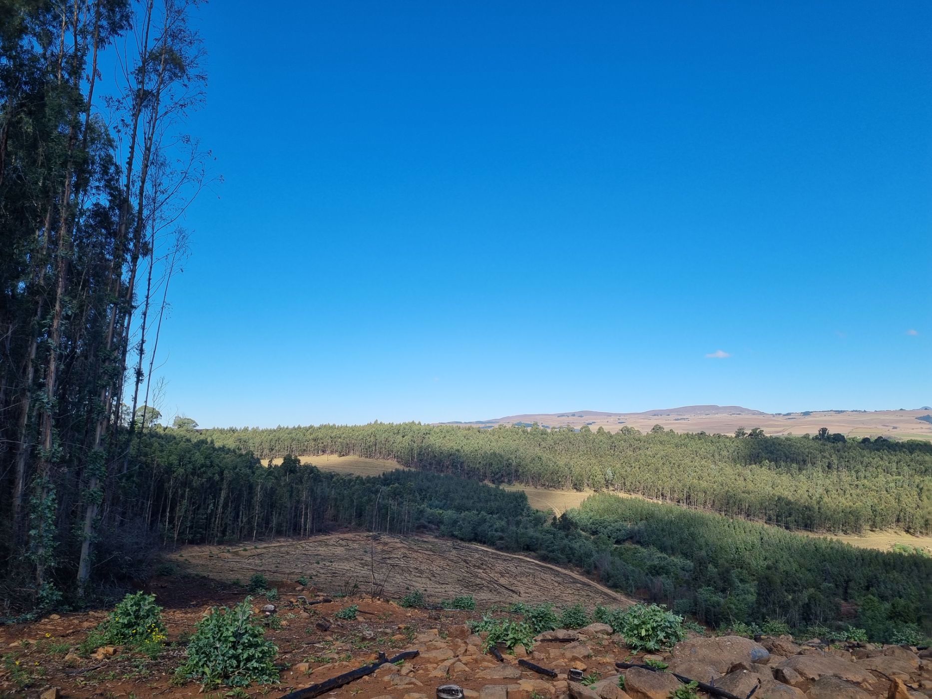 501.9 hectare Mixed Use Farm For Sale Underberg 1UB1560071 Pam