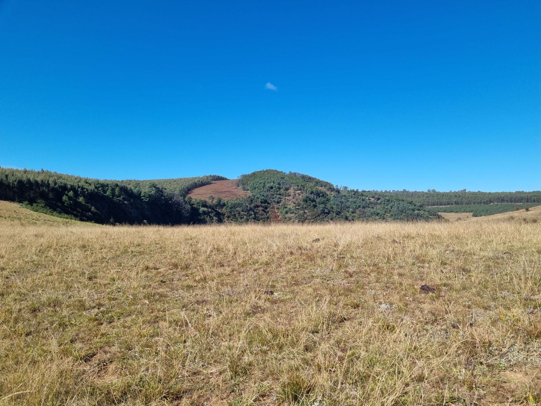 501.9 hectare Mixed Use Farm For Sale Underberg 1UB1560071 Pam