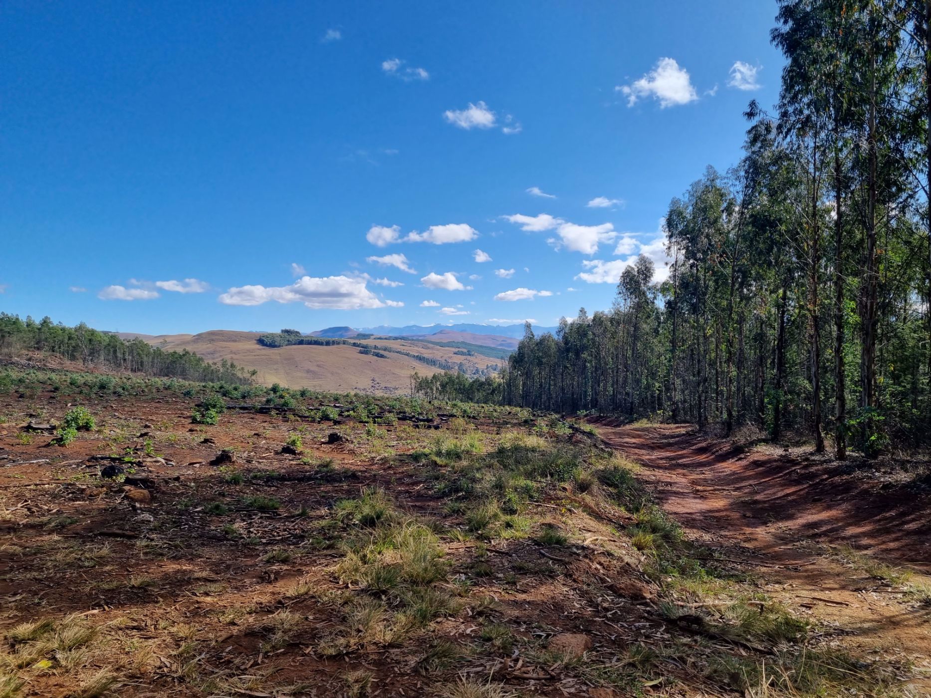 501.9 hectare Mixed Use Farm For Sale Underberg 1UB1560071 Pam