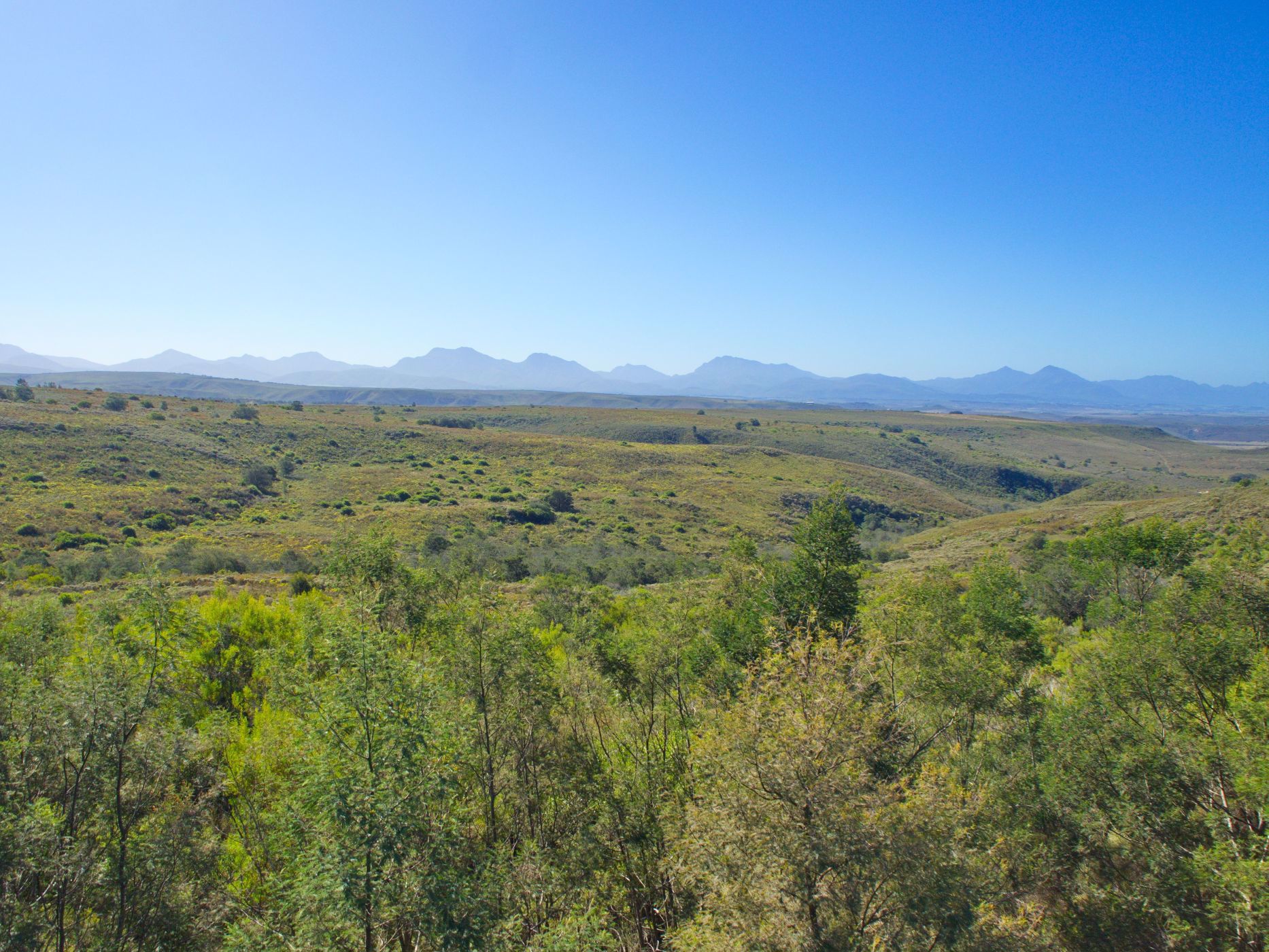 300 m&sup2; residential vacant land for sale in Gondwana Game Reserve