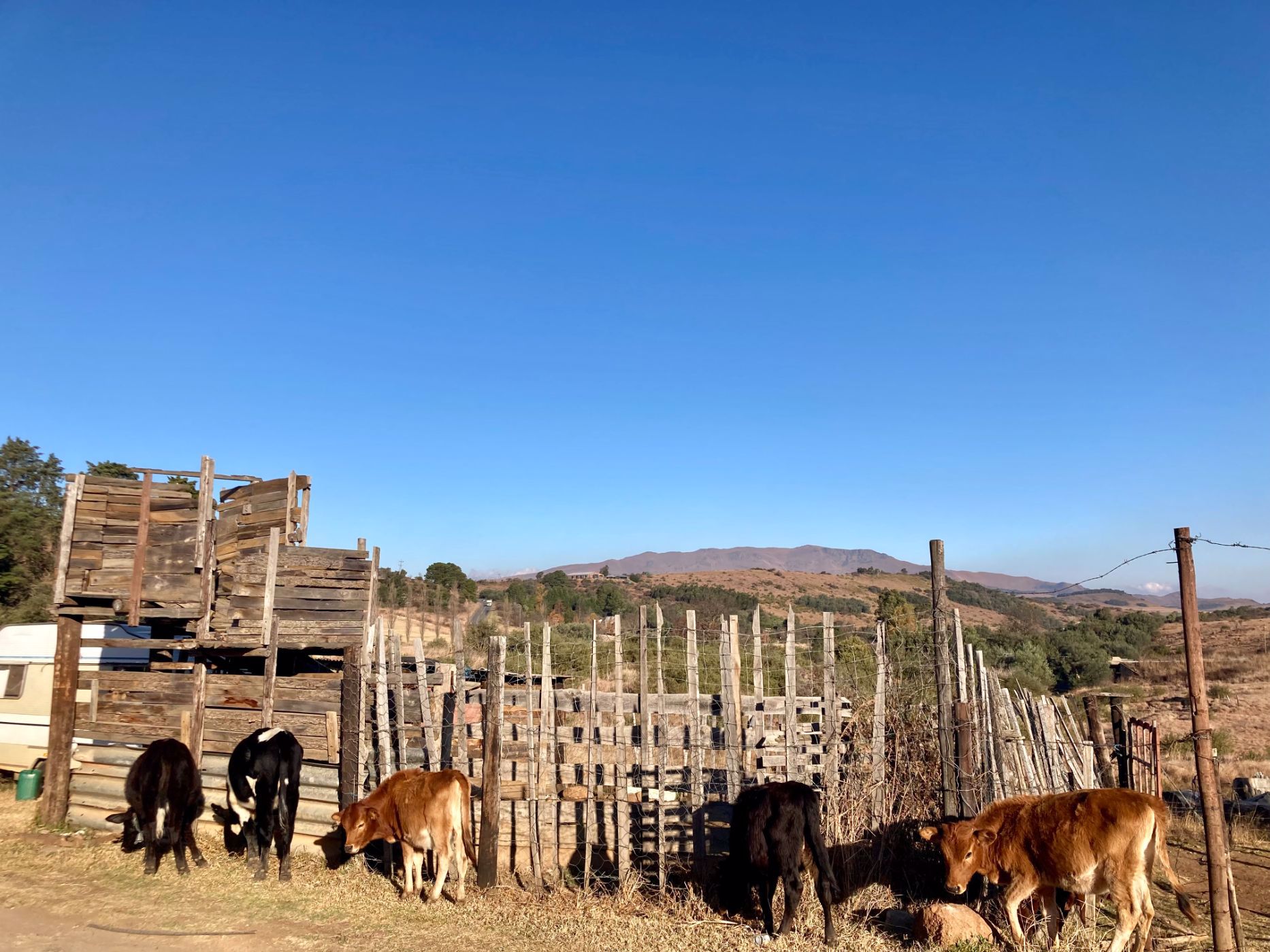 292.18 hectare Livestock Farm For Sale Kokstad 1UB1445267 Pam